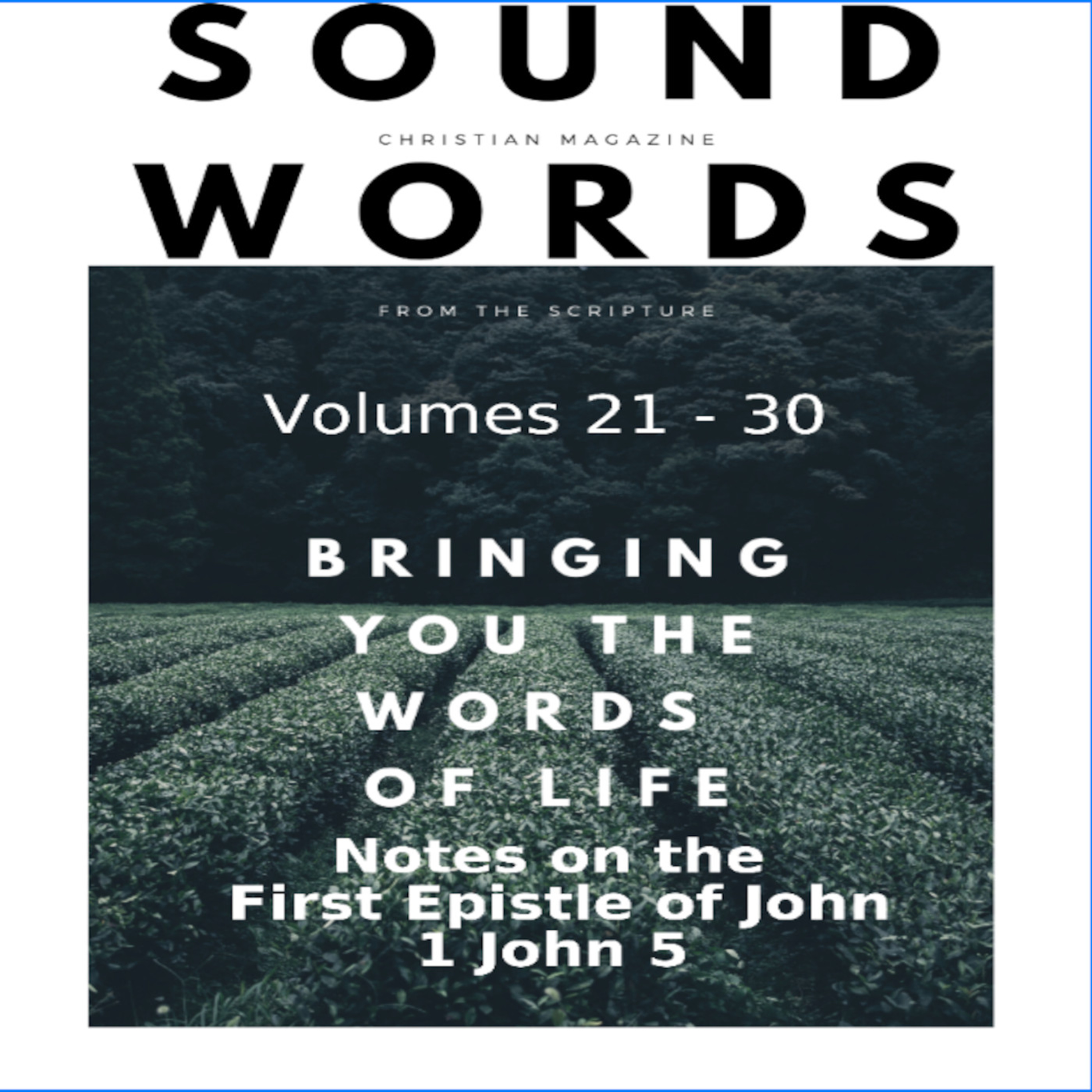 Sound Words, Notes on the First Epistle of John, 1 John 5 episode artwork