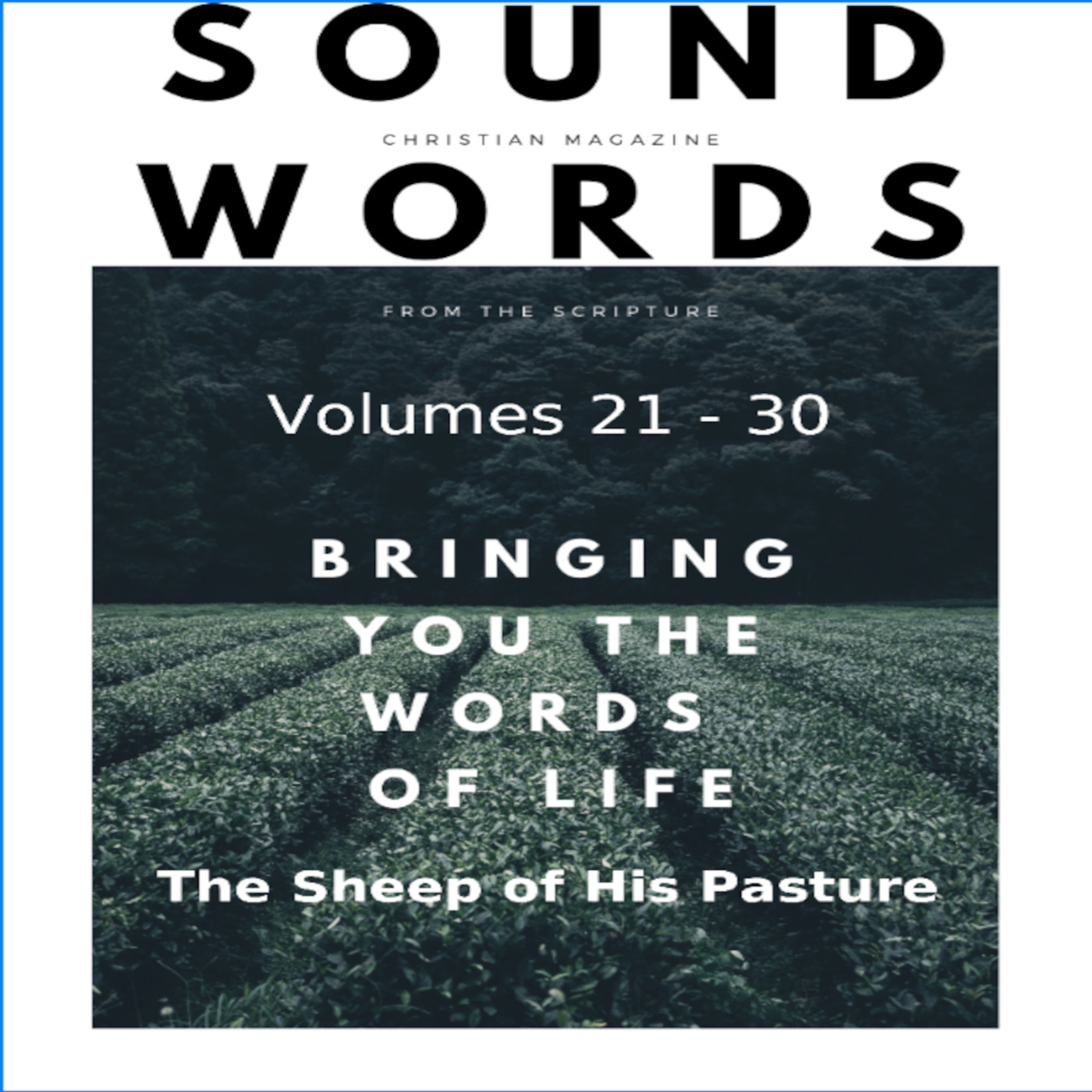 Sound Words, The Sheep of His Pasture episode artwork