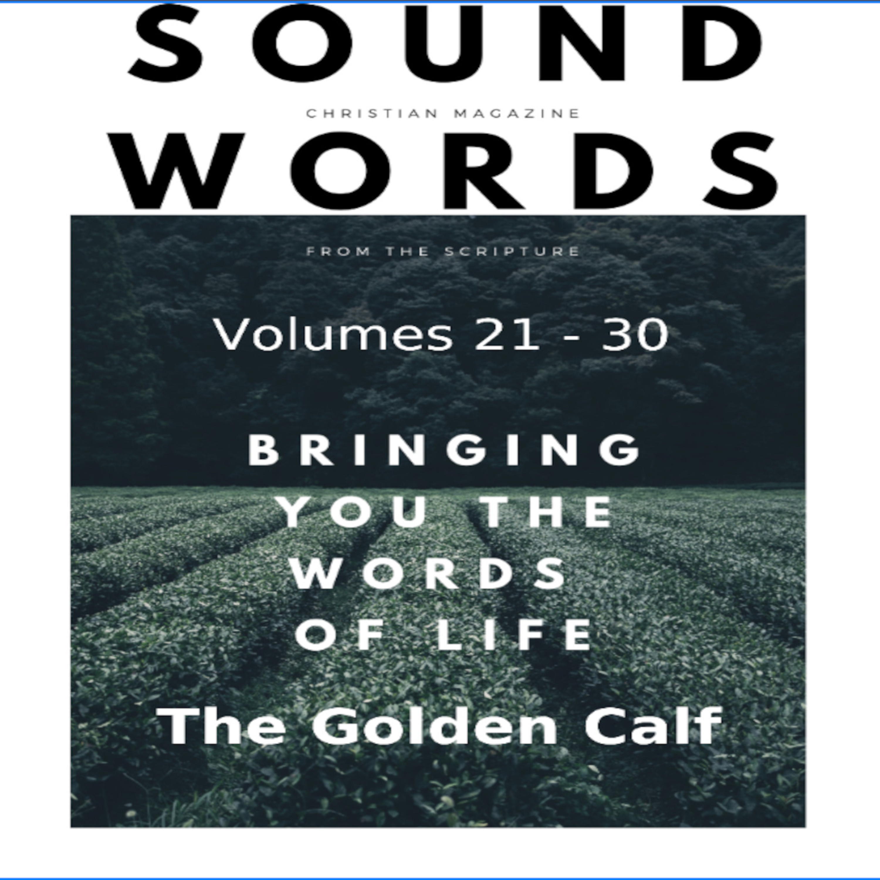 Sound Words, The Golden Calf