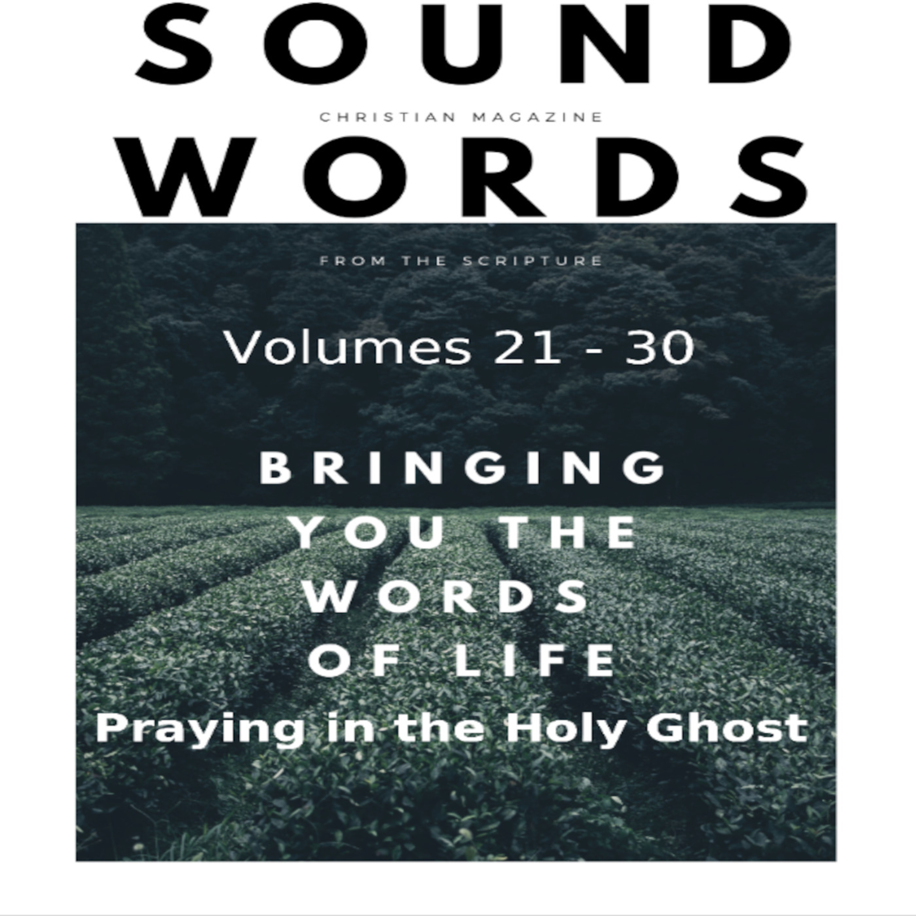 Sound Words, Praying in the Holy Ghost