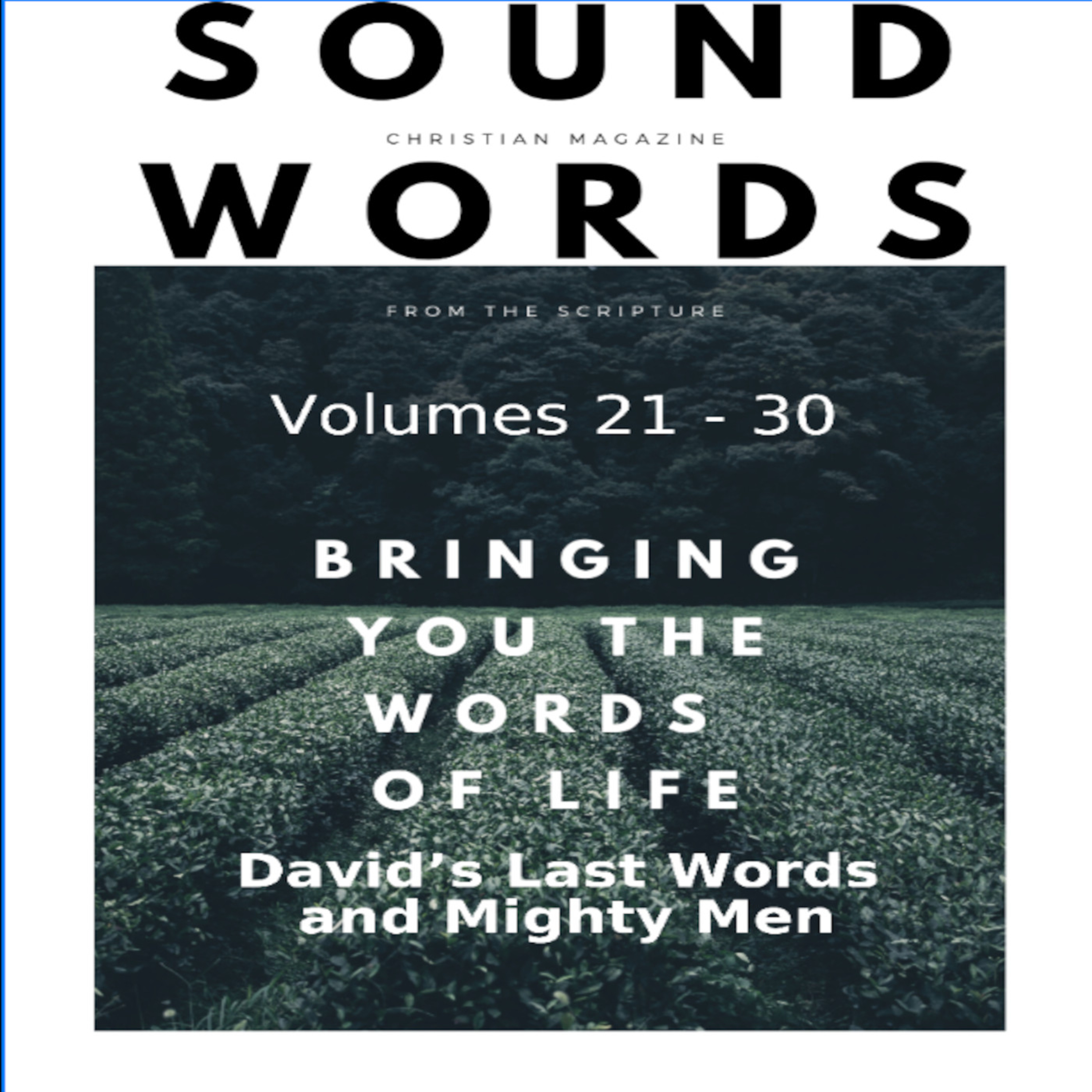 Sound Words, David's Last Words and Mighty Men