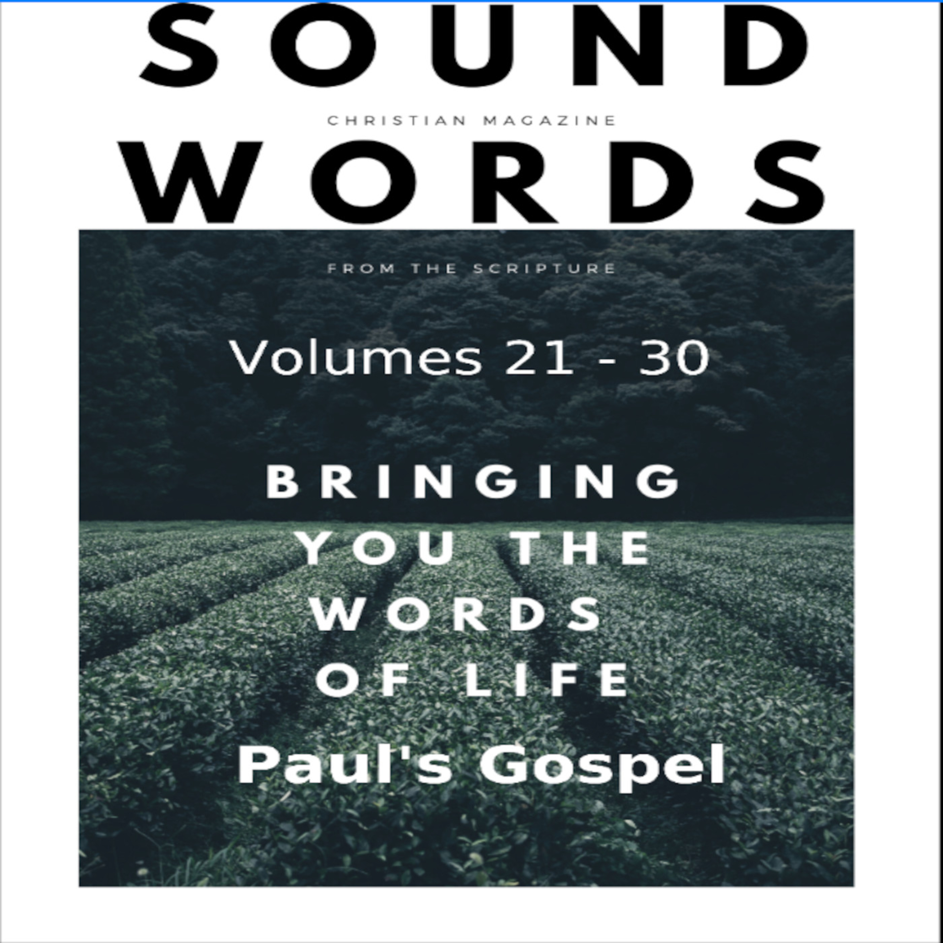 Sound Words, Paul's Gospel episode artwork
