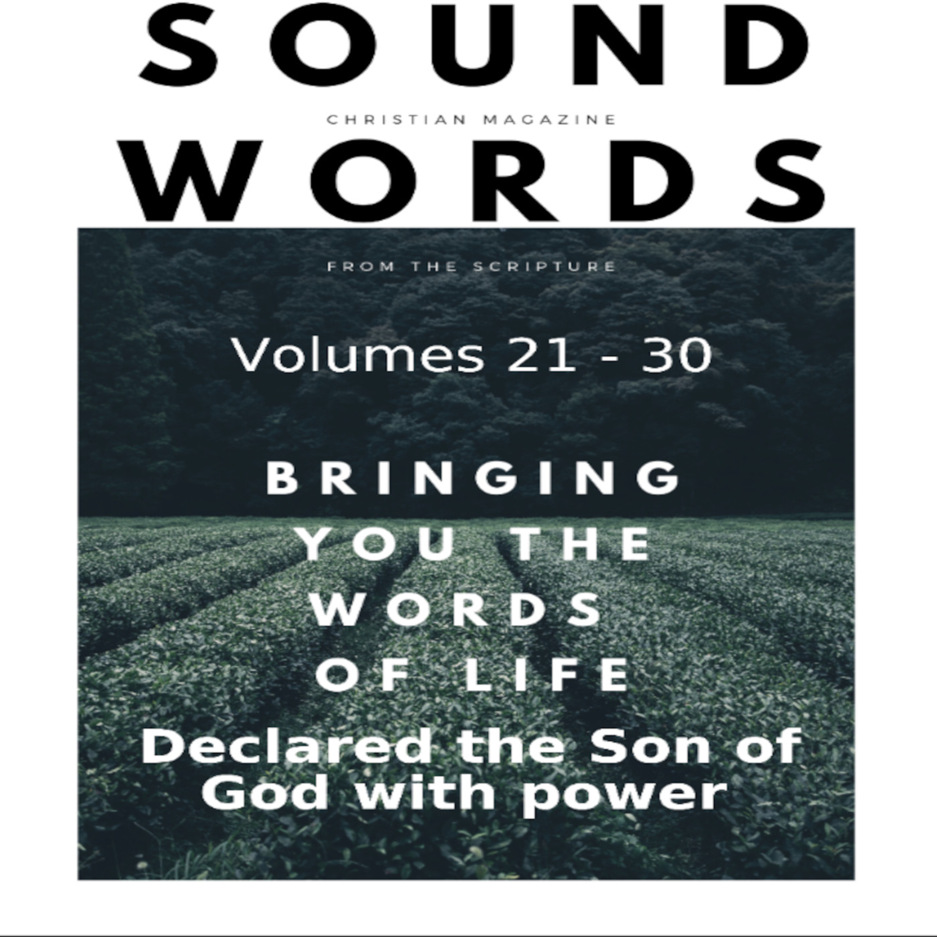 Sound Words, Declared the Son of God with Power episode artwork