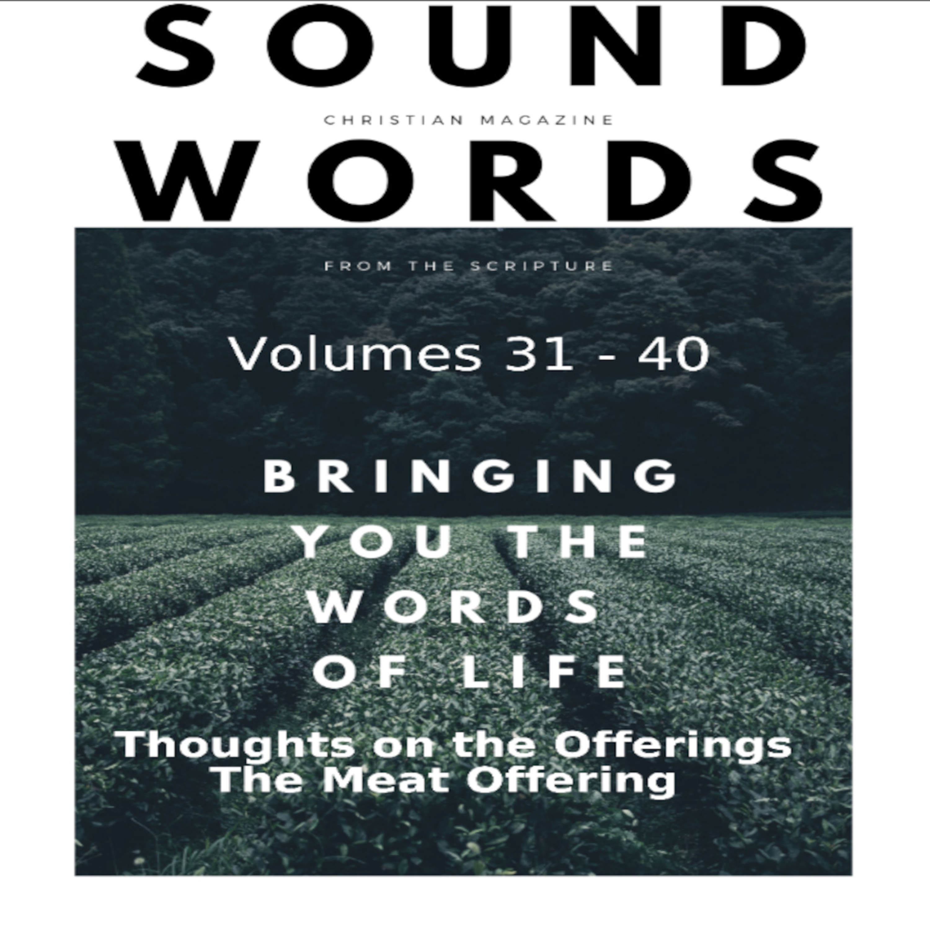 Sound Words, Thoughts on the Offerings The Meat Offering episode artwork