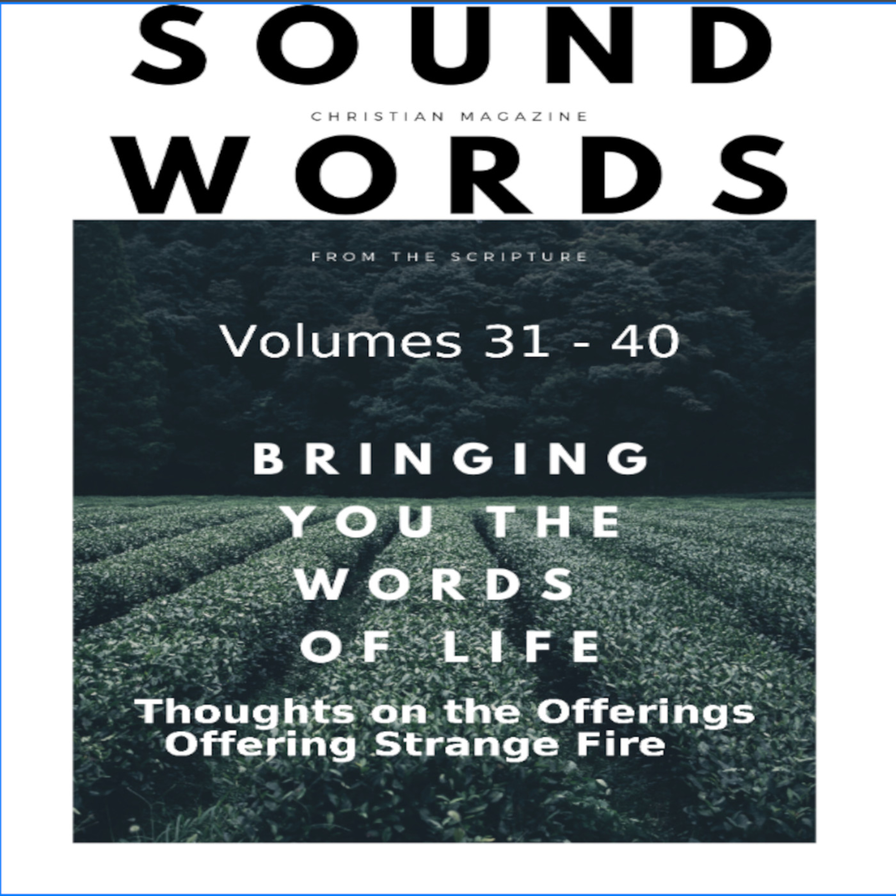 Sound Words, Thoughts on the Offerings Offering Strange Fire episode artwork