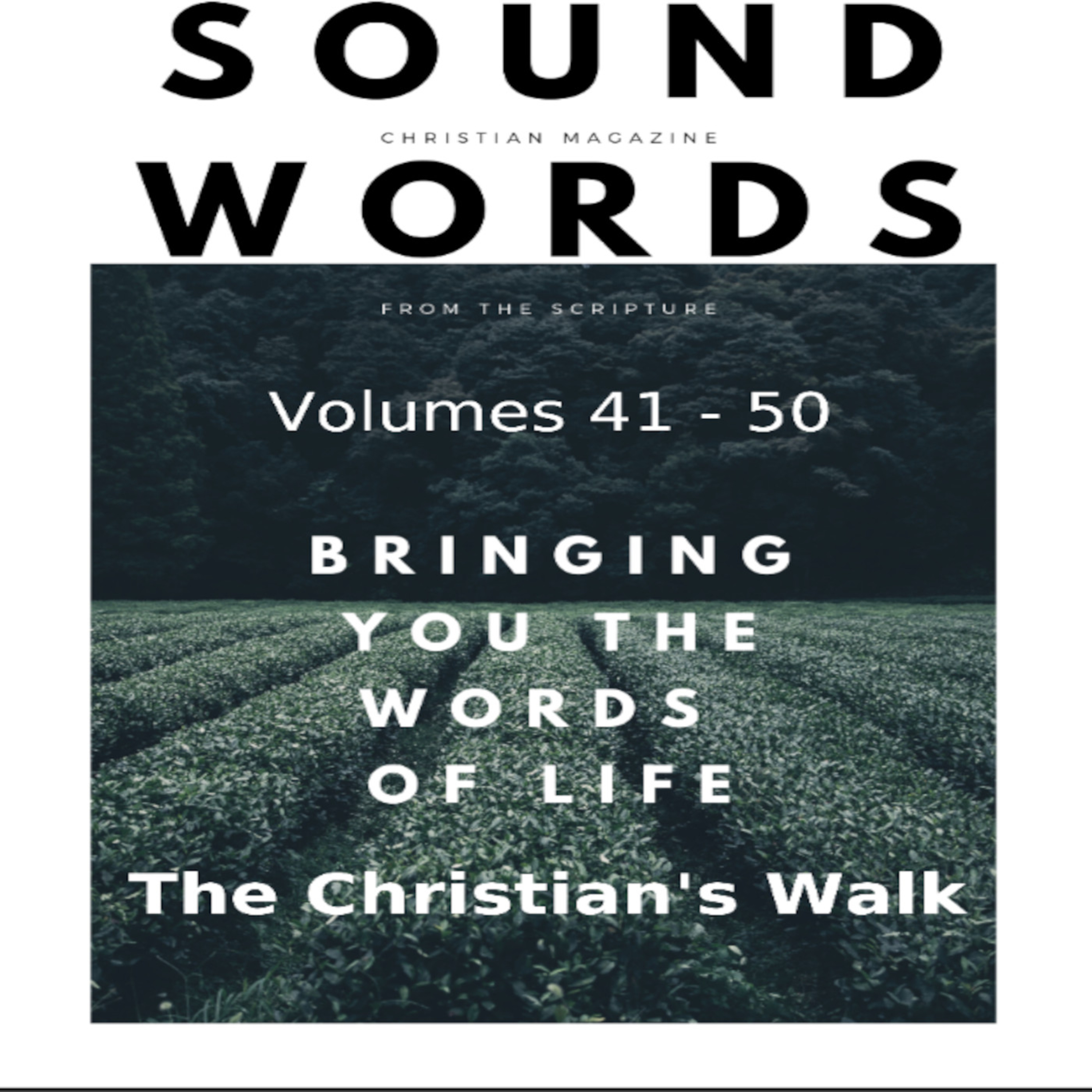 Sound Words, The Christian's Walk episode artwork