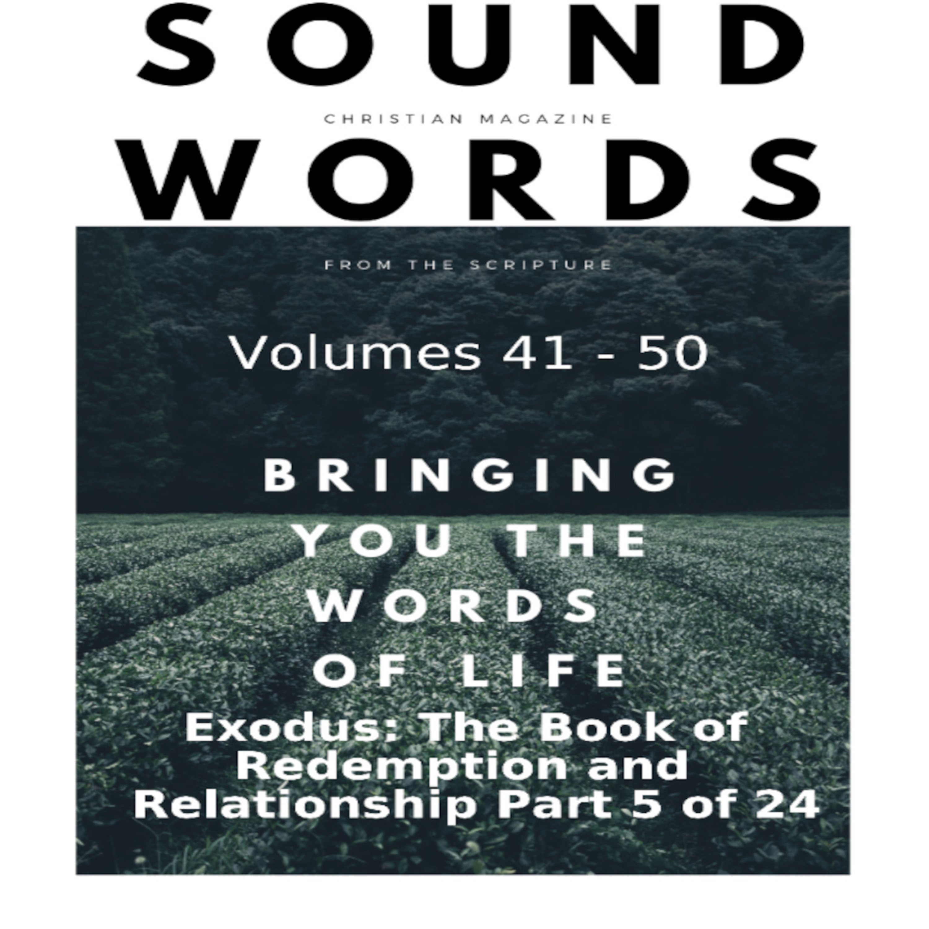 Sound Words, Exodus, The Book of Redemption and Relationship, part 5 of 24