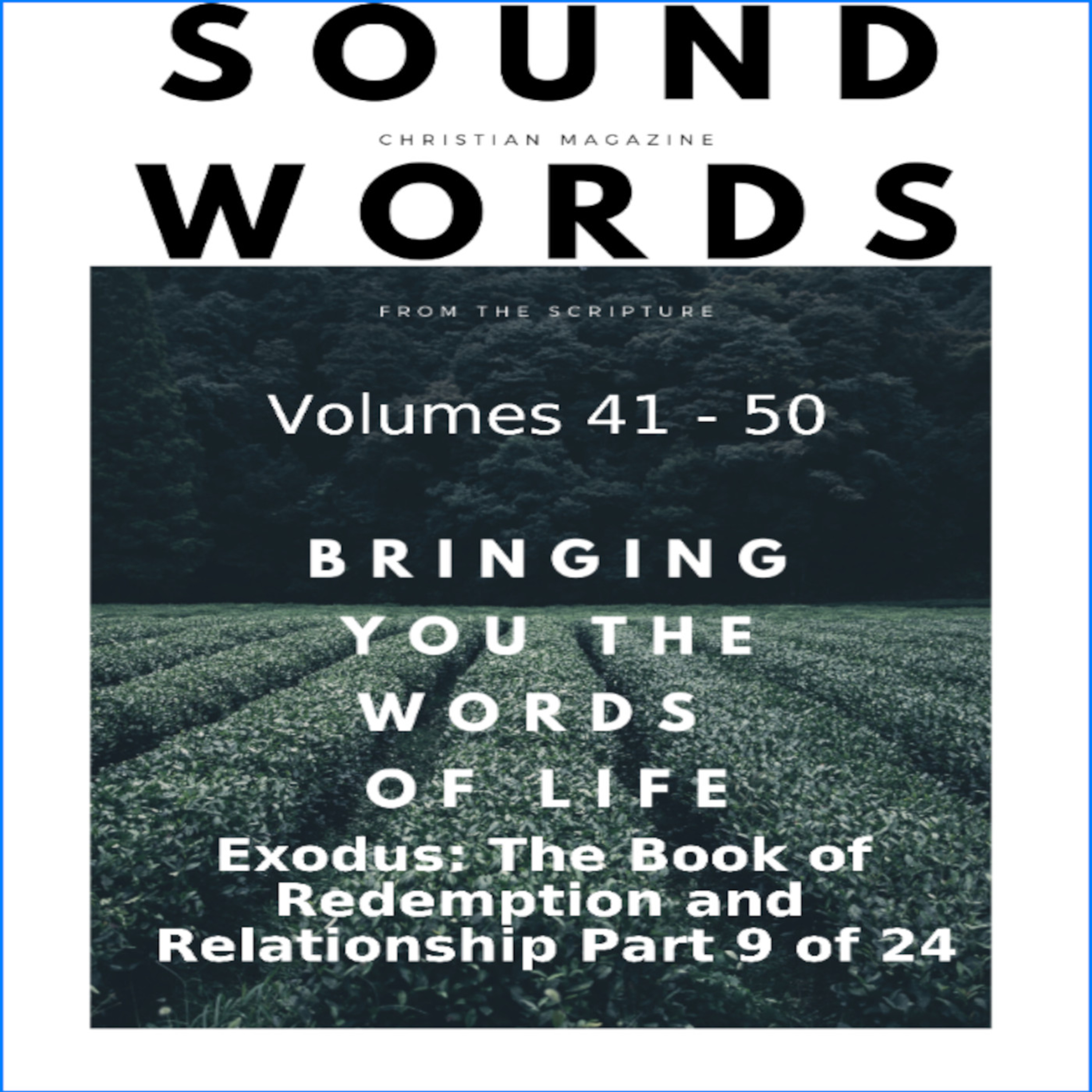 Sound Words, Exodus, The Book of Redemption and Relationship, part 9 of 24