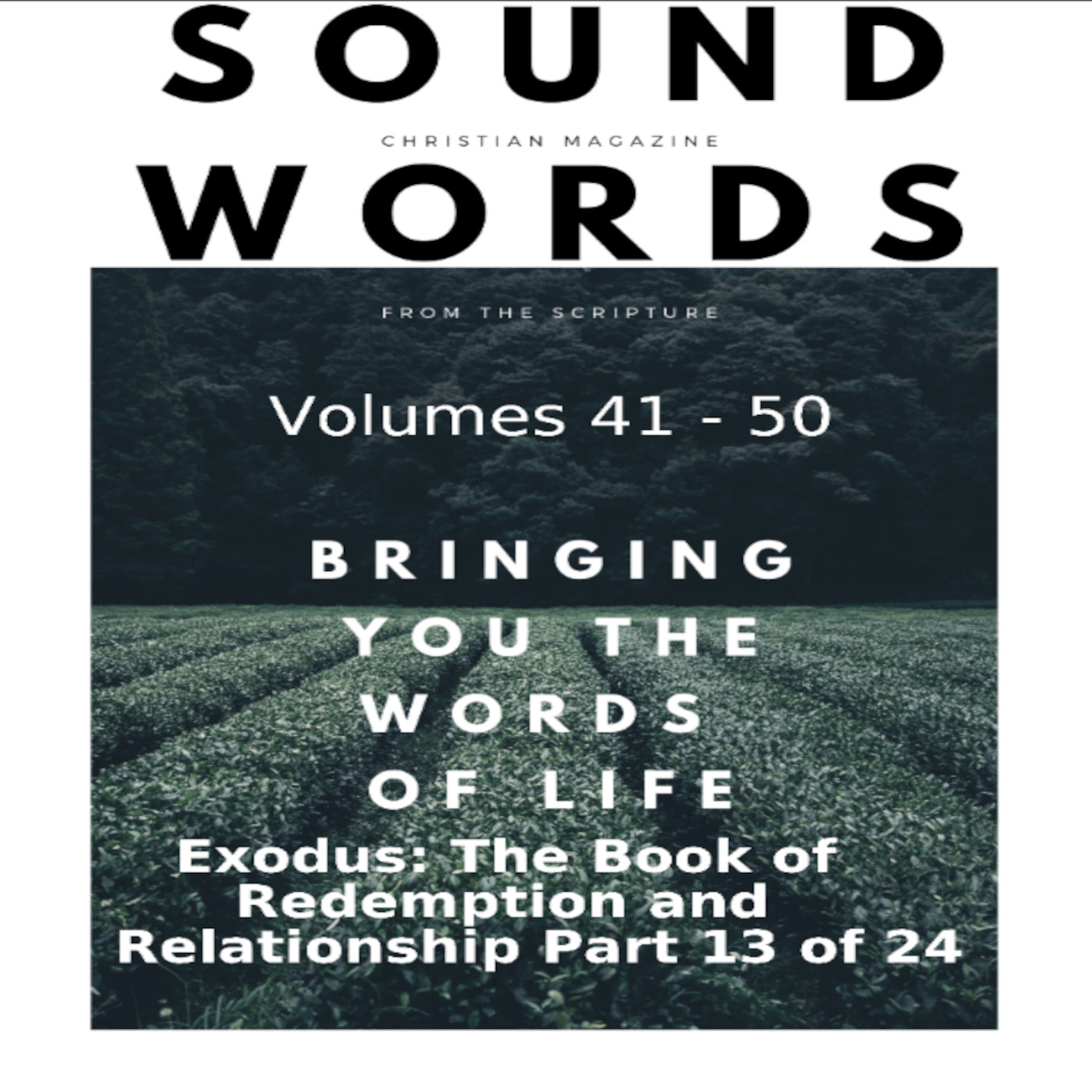 Sound Words, Exodus, The Book of Redemption and Relationship, part 13 of 24