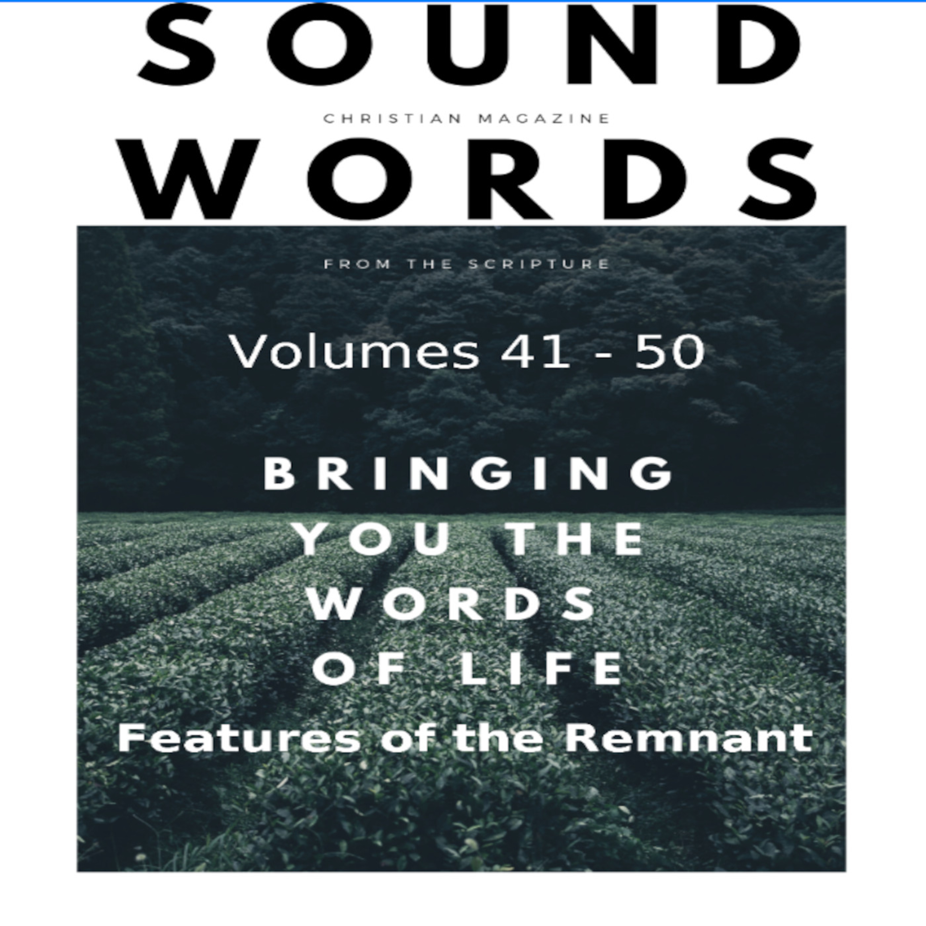 Sound Words, Features of the Remnant