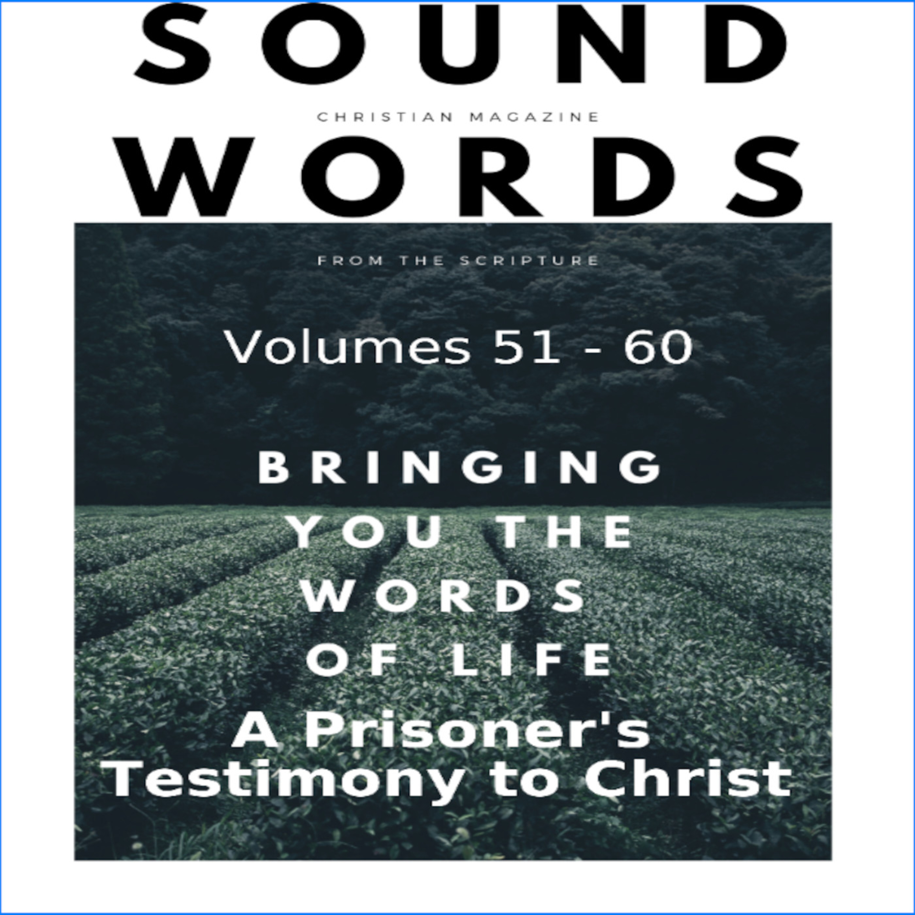 Sound Words, A Prisoner's Testimony to Christ
