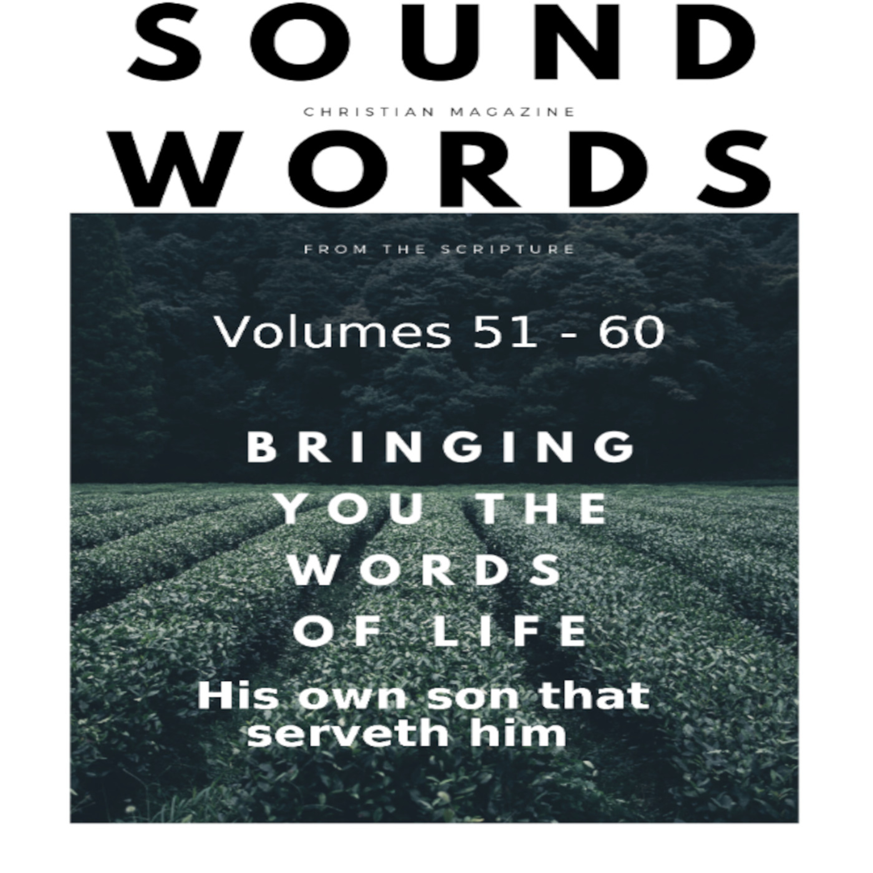 Sound Words, His own son that serveth him episode artwork