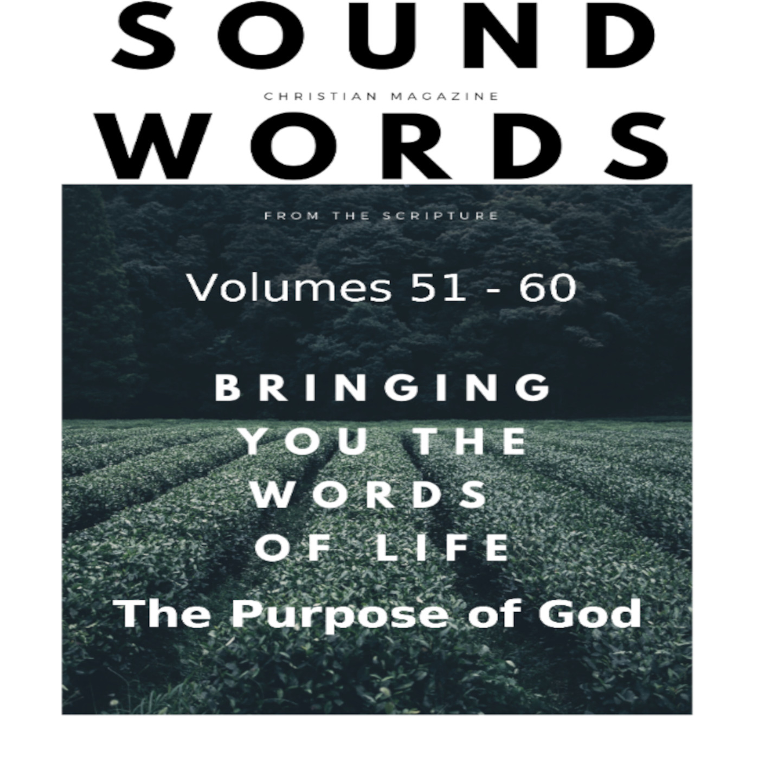 Sound Words, The Purpose of God episode artwork