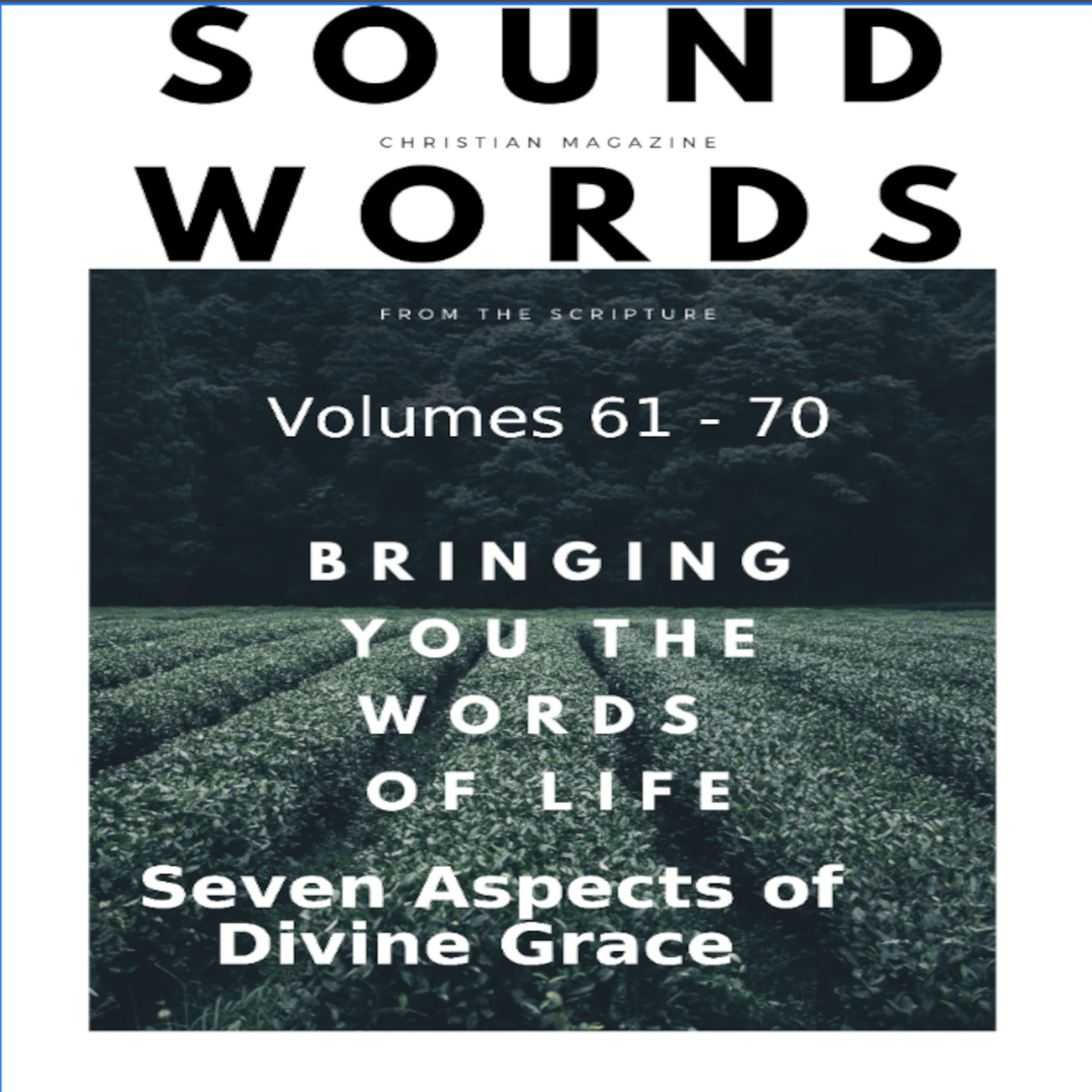Sound Words, Seven Aspects of Divine Grace episode artwork