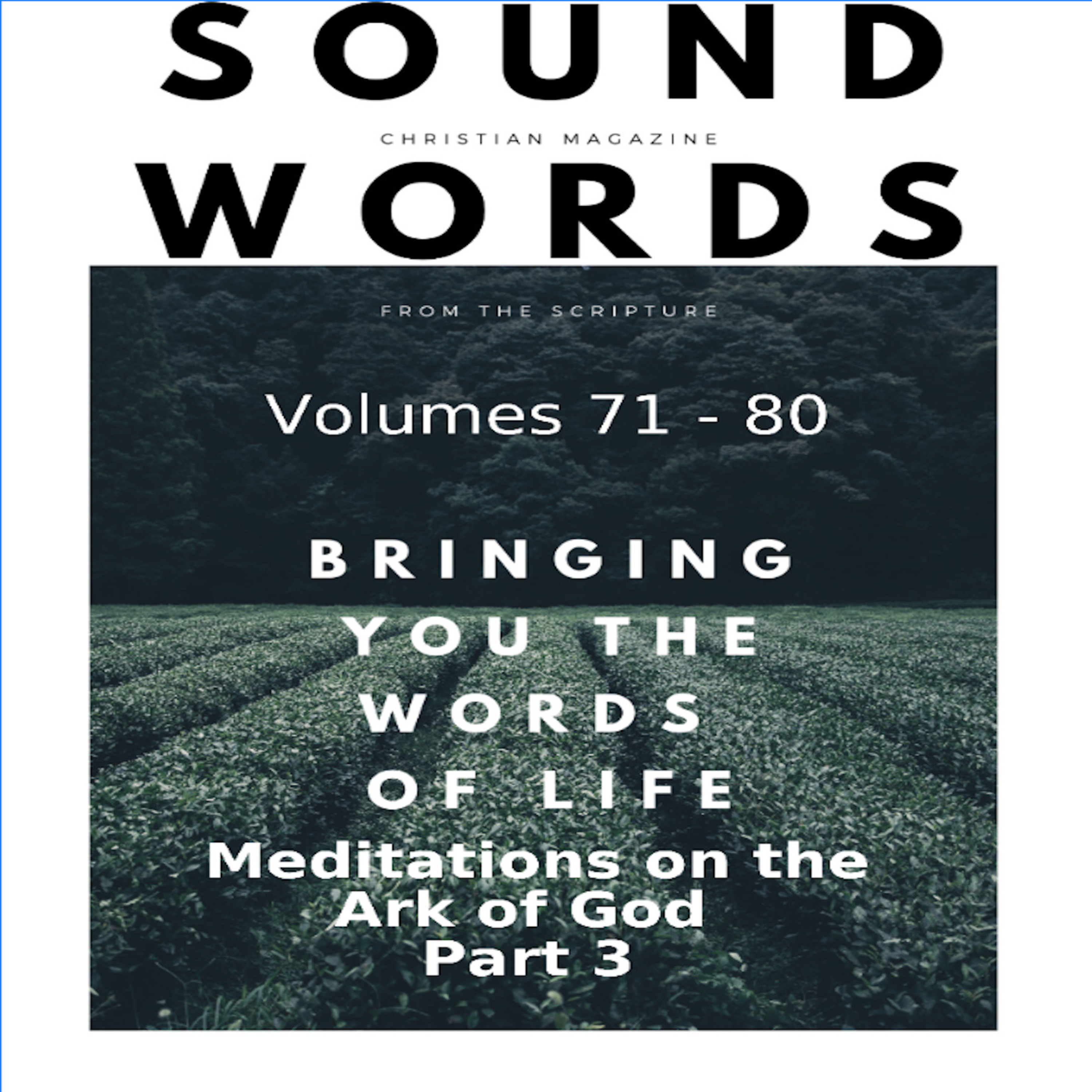 Sound Words, Meditations on the Ark of God, Part 3 episode artwork
