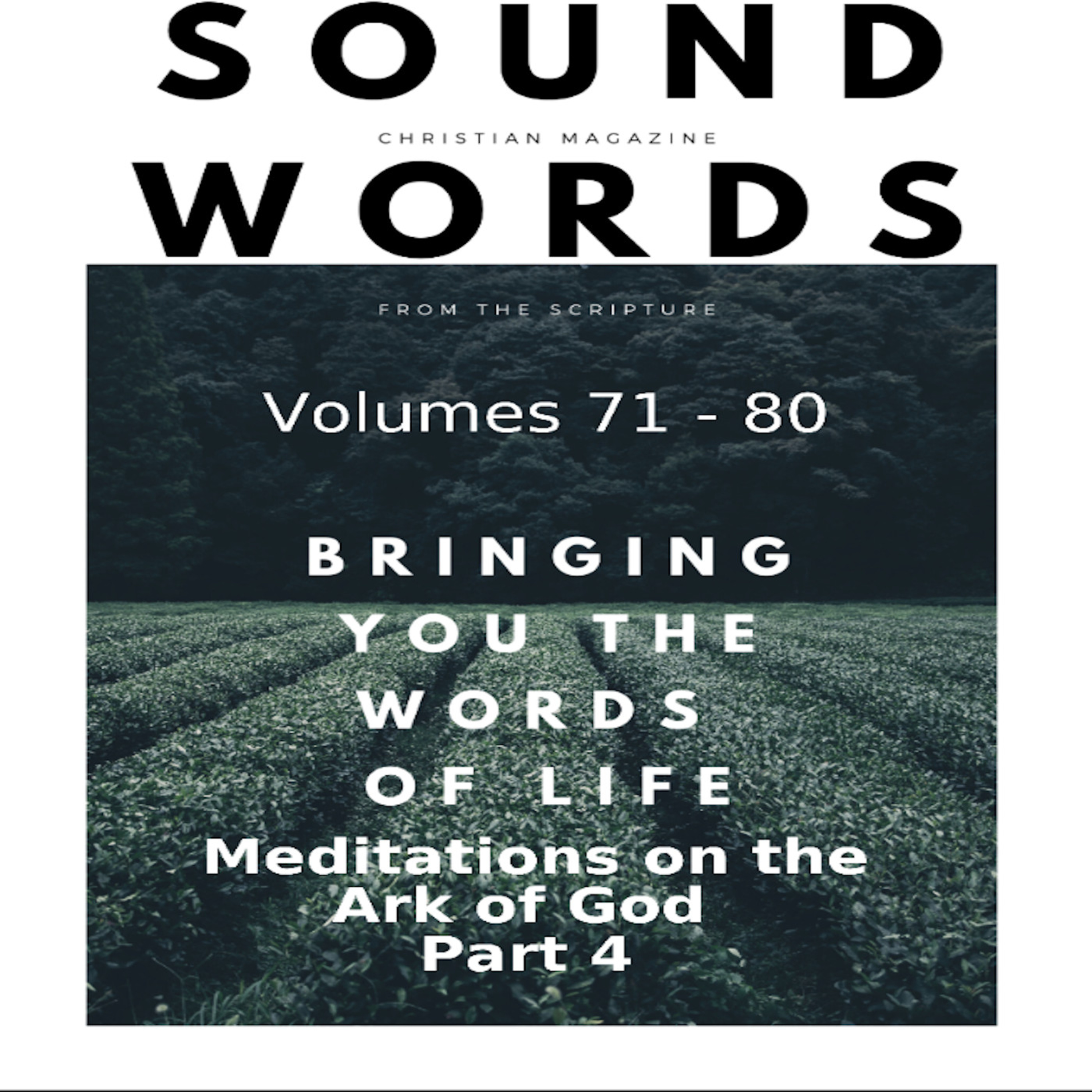 Sound Words, Meditations on the Ark of God, Part 4