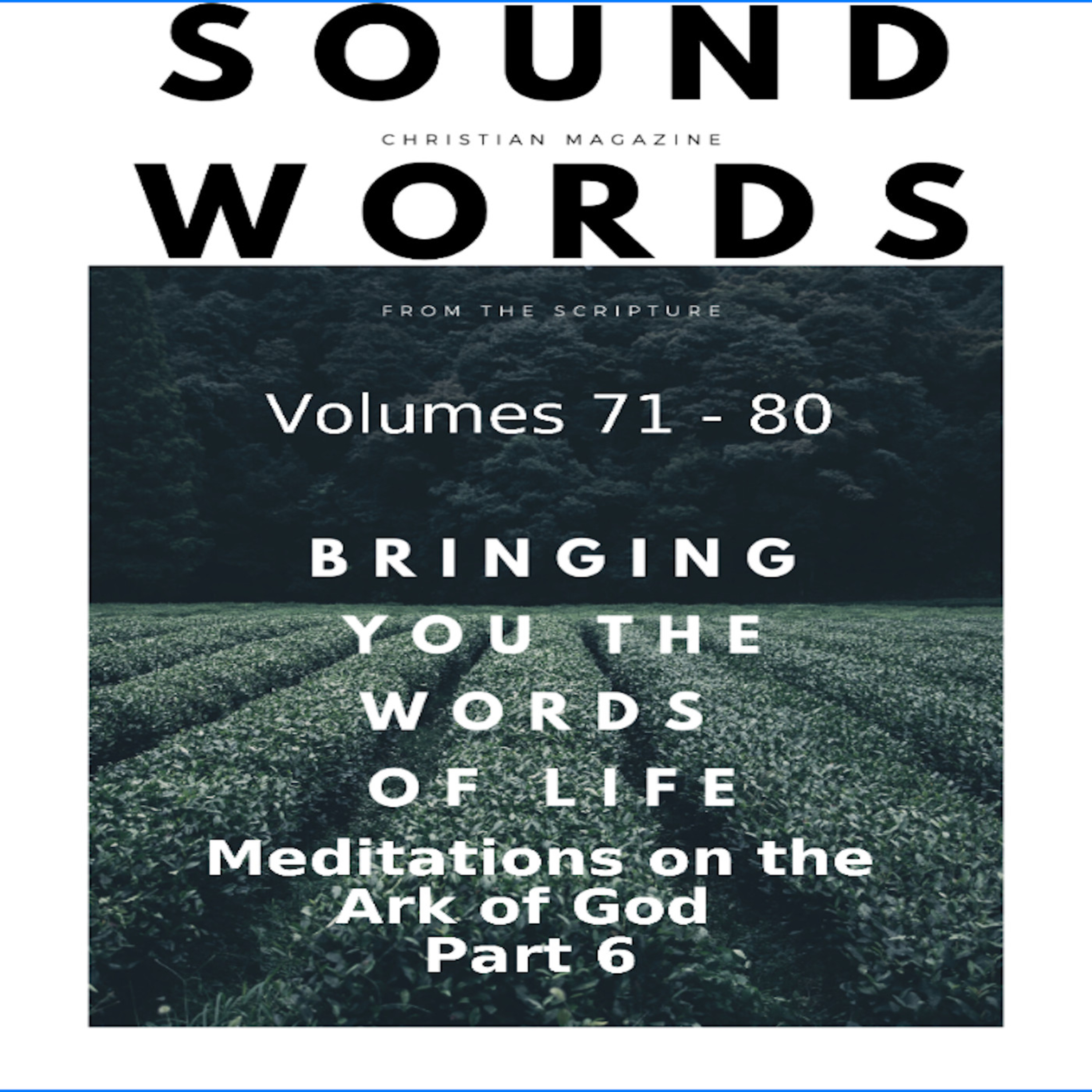 Sound Words, Meditations on the Ark of God, Part 6 episode artwork