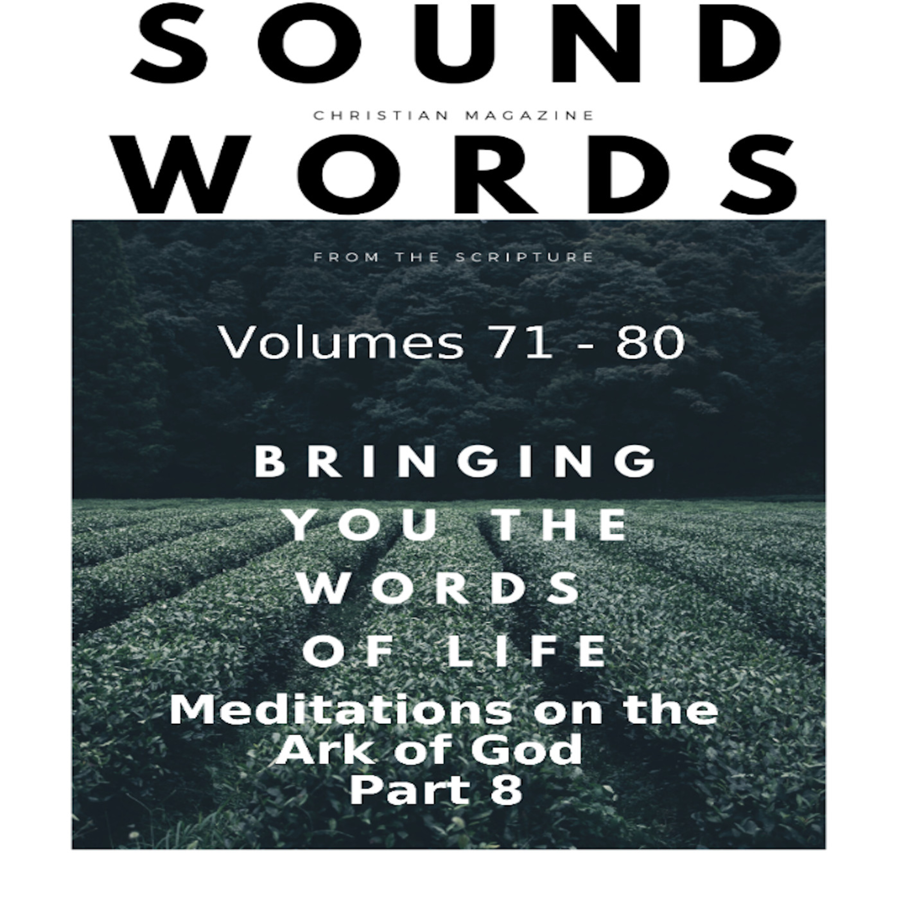 Sound Words, Meditations on the Ark of God, Part 8 episode artwork