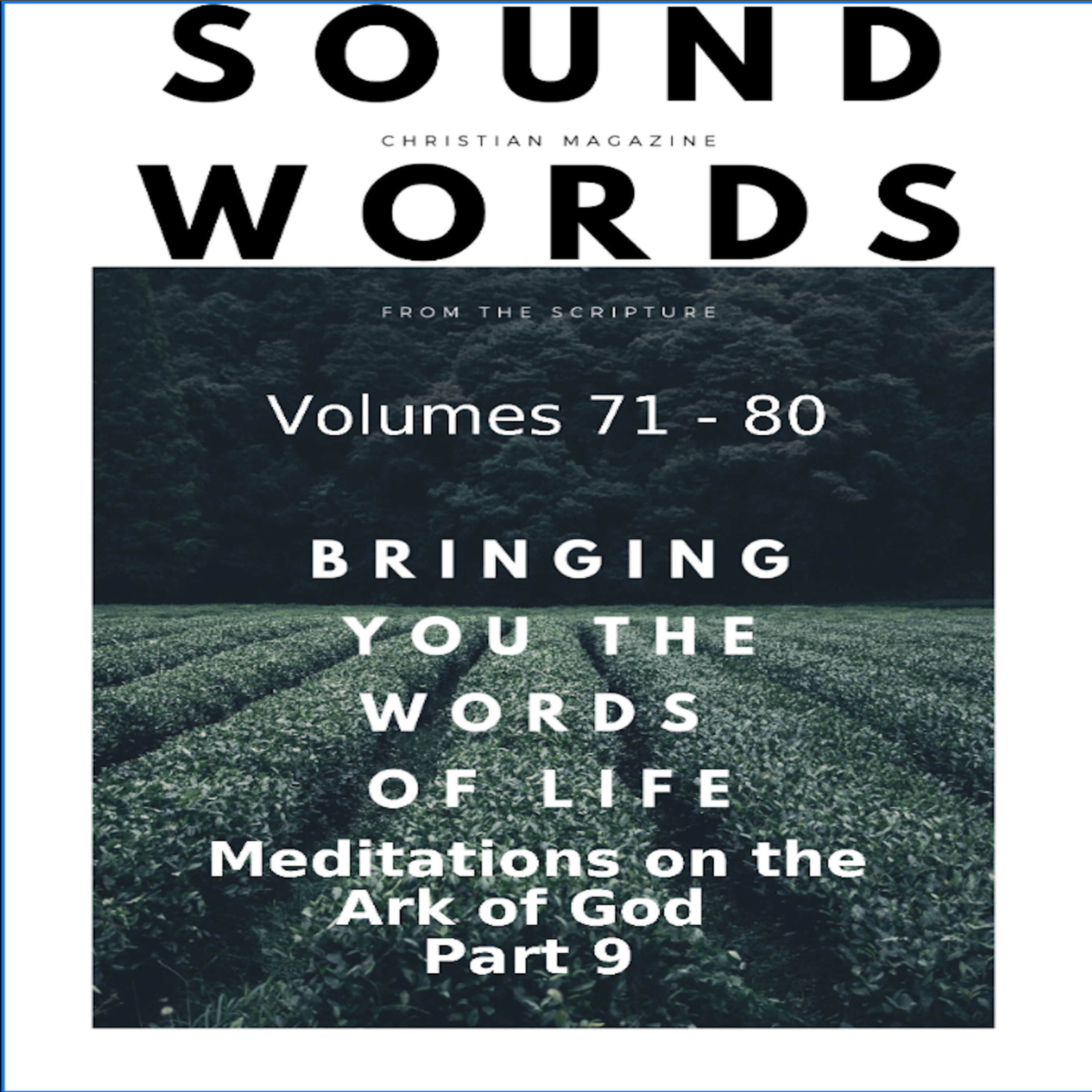 Sound Words, Meditations on the Ark of God, Part 9 episode artwork