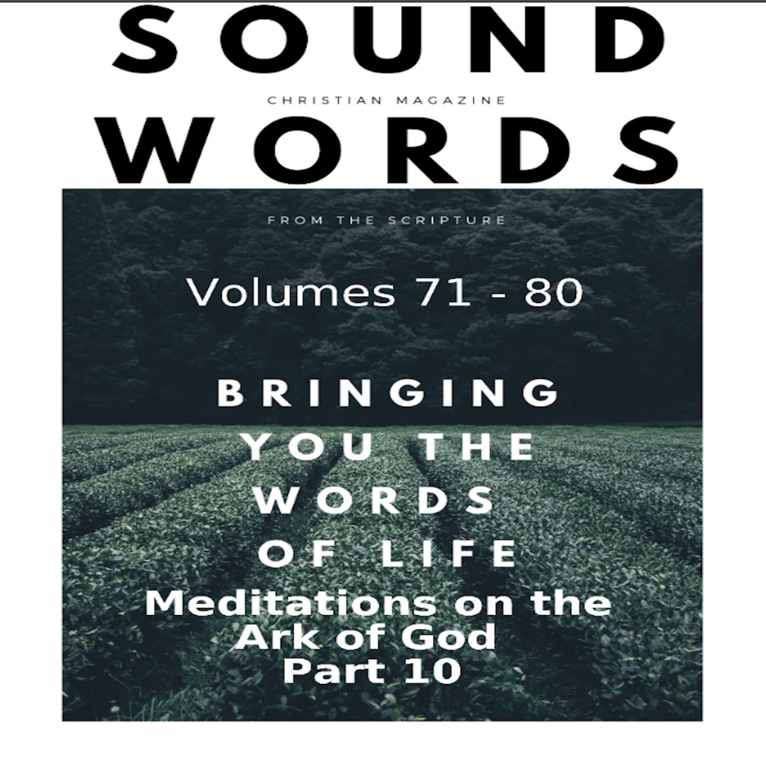 Sound Words, Meditations on the Ark of God, Part 10