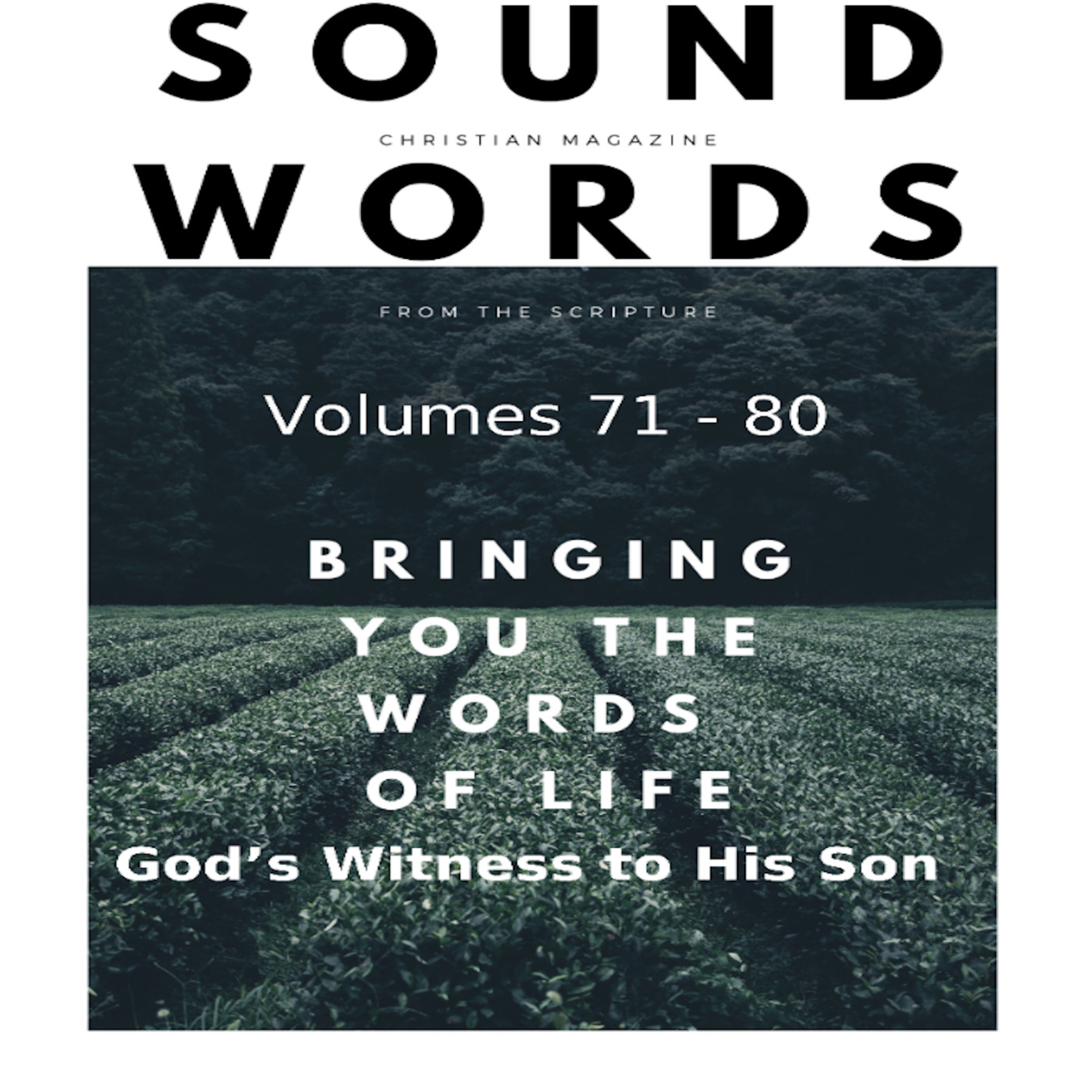 Sound Words, God's Witness to His Son episode artwork