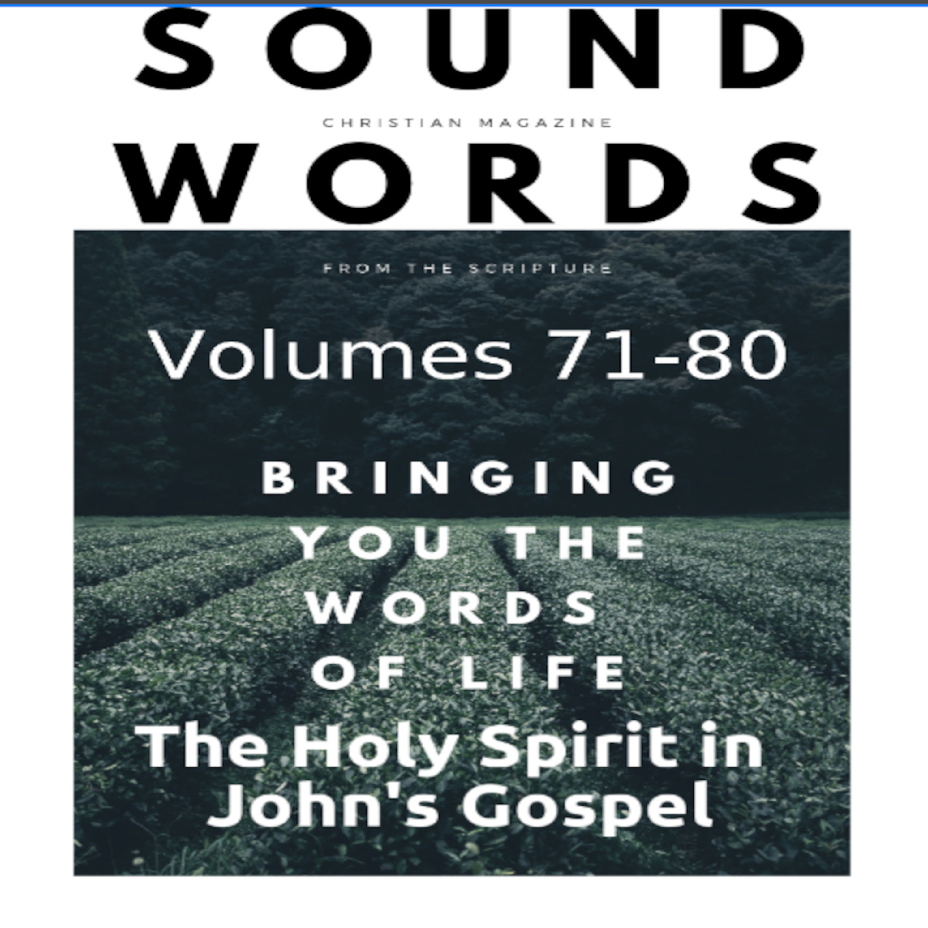 Sound Words, The Holy Spirit in John’s Gospel