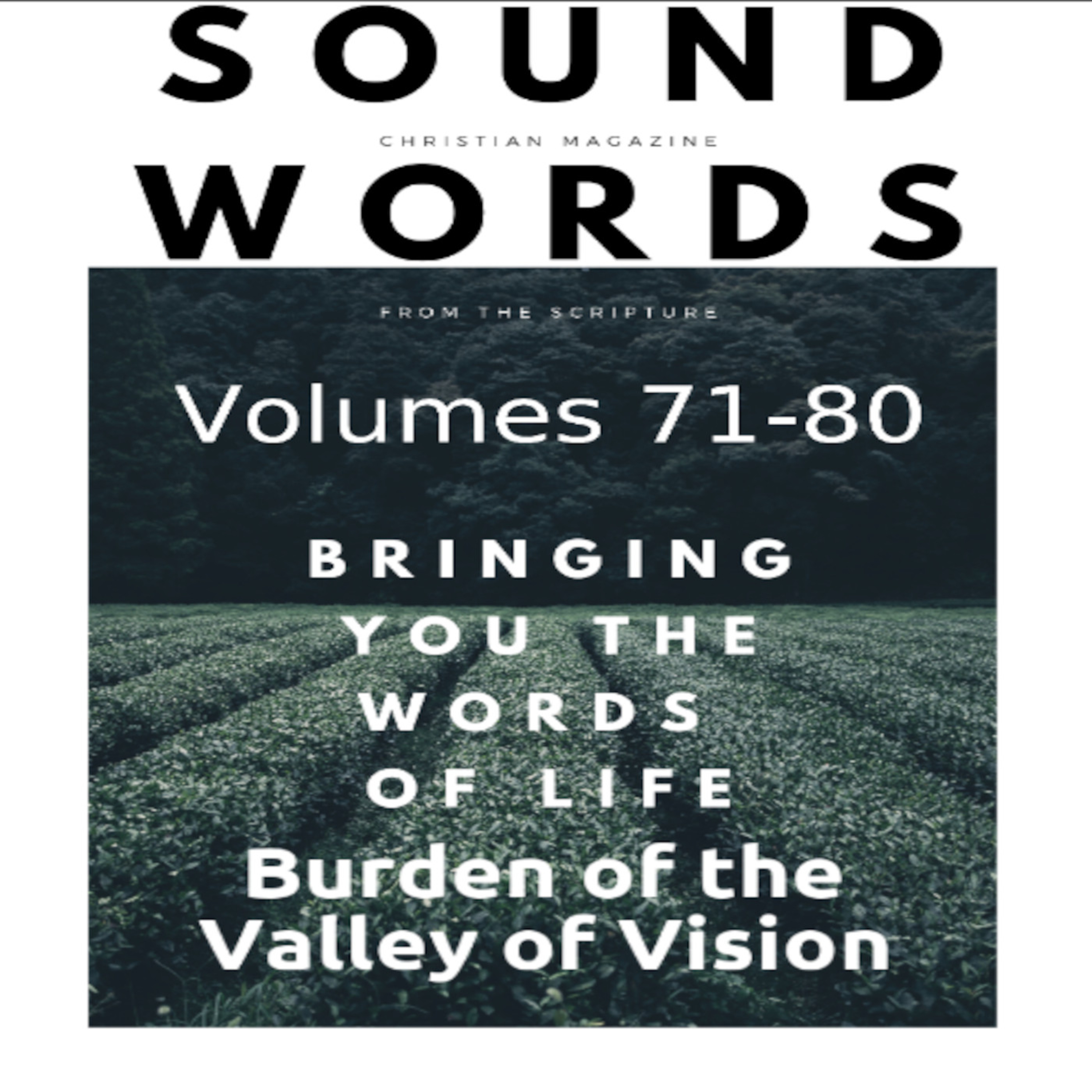Sound Words, Burden of the Valley of Vision episode artwork