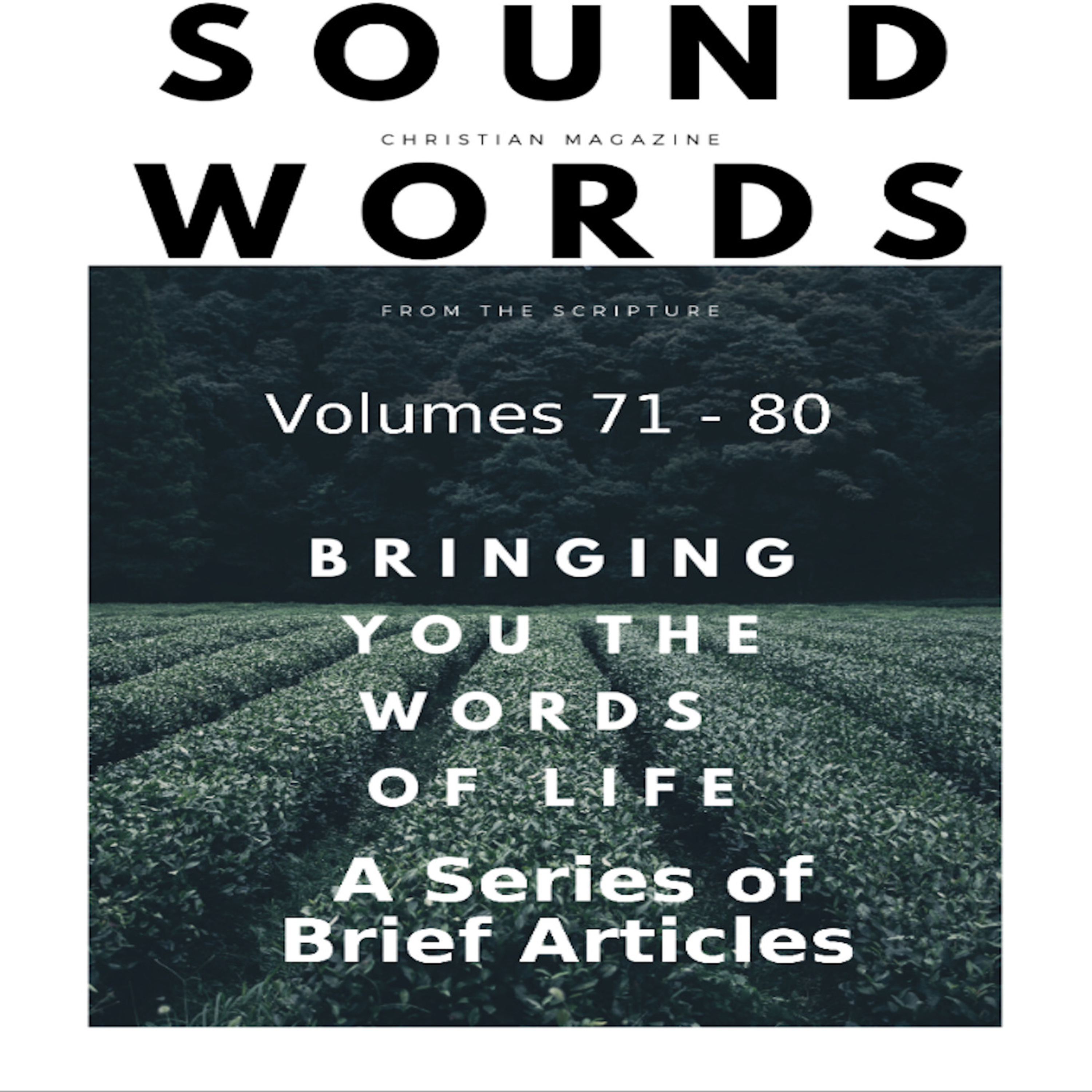 Sound Words, A Series of Brief Articles episode artwork