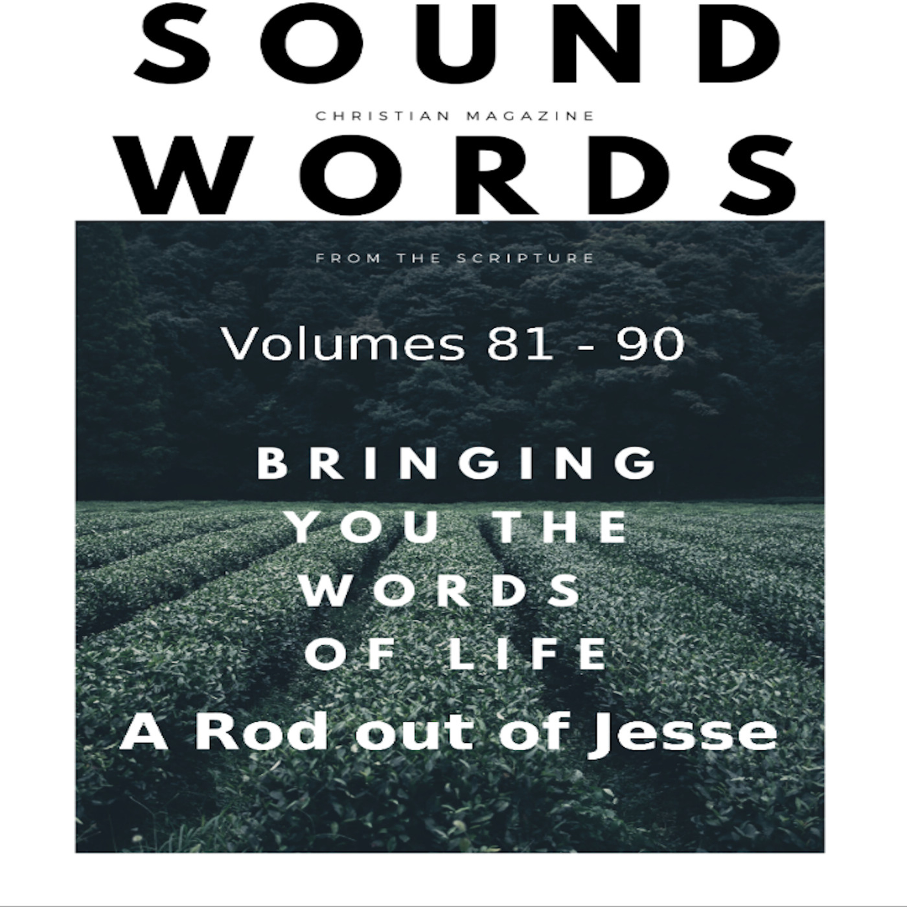 Sound Words, A Rod out of Jesse episode artwork
