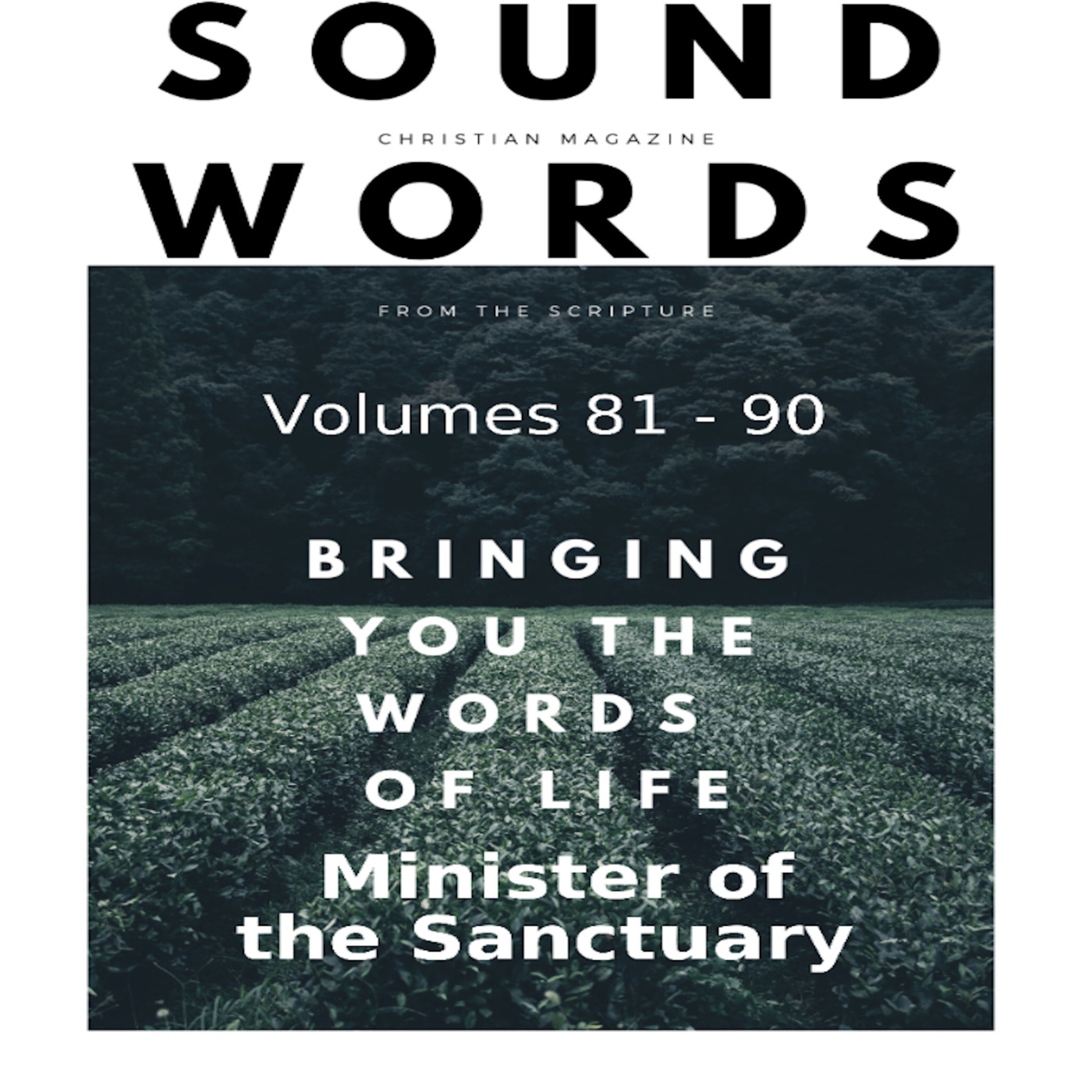 Sound Words, Minister of the Sanctuary episode artwork