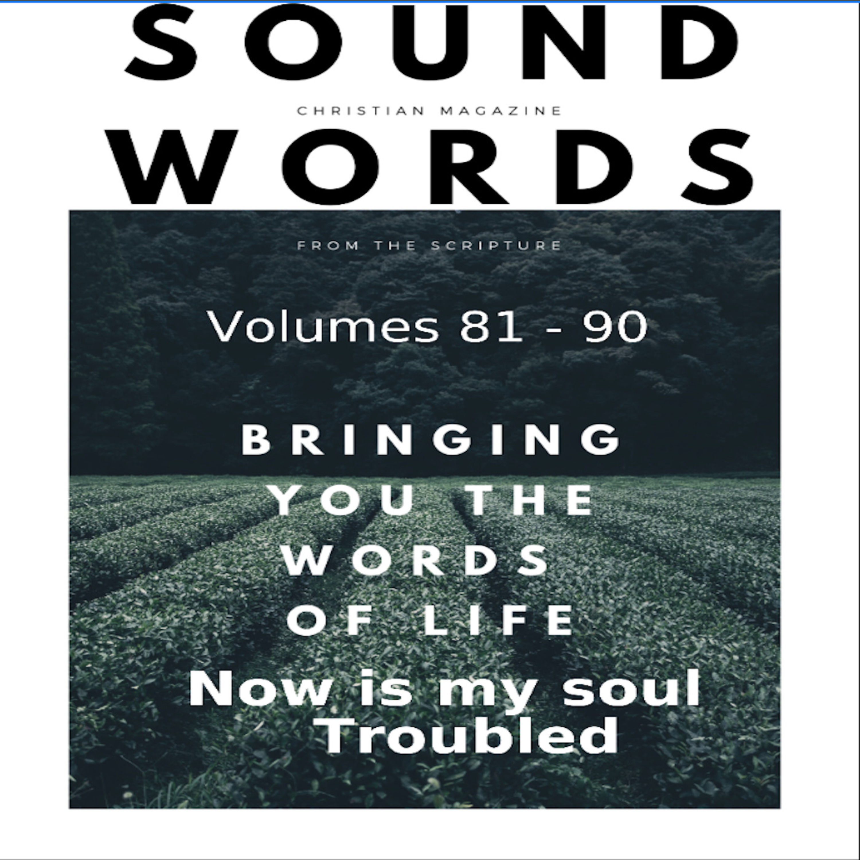 Sound Words, Now is my Soul Troubled