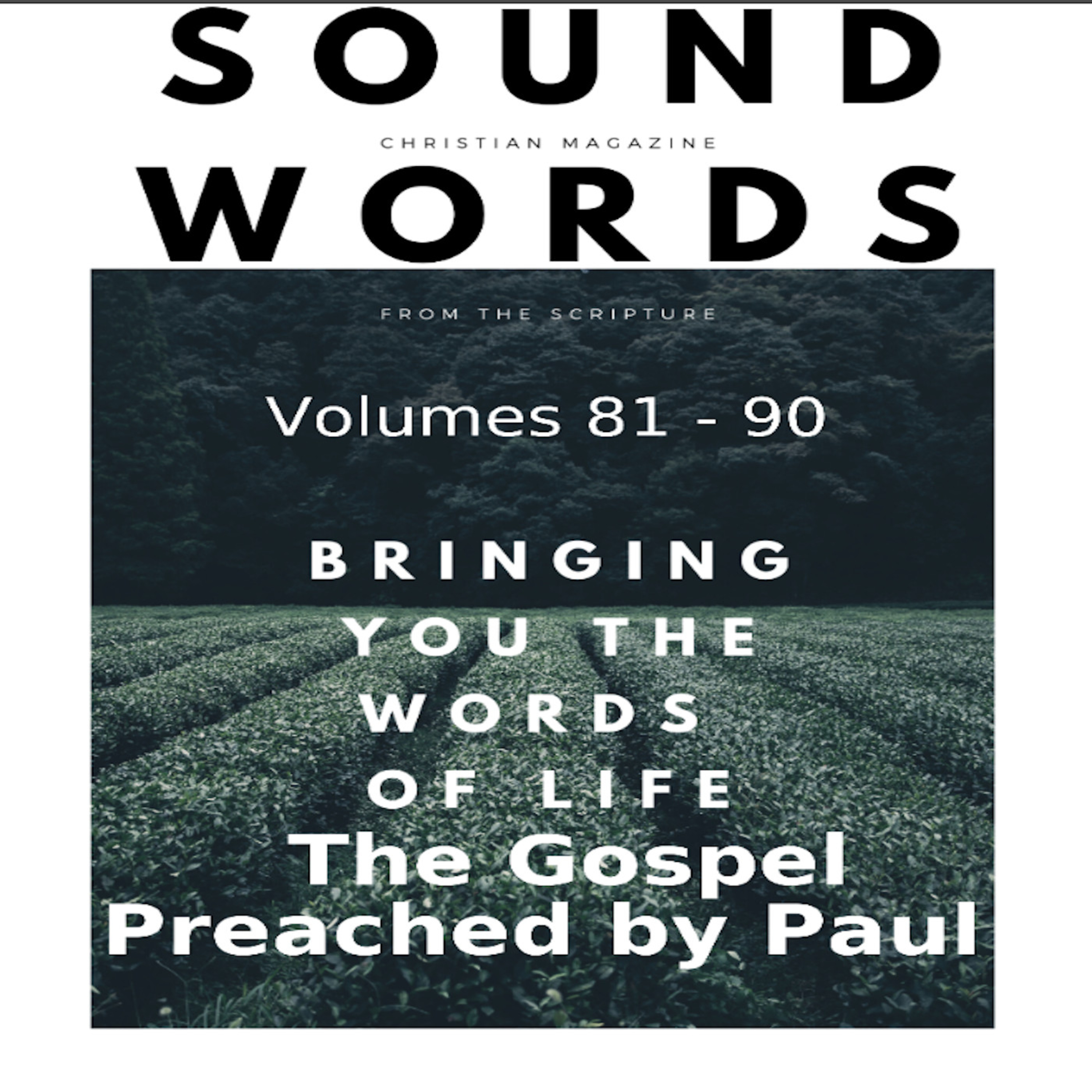 Sound Words, The Gospel Preached by Paul episode artwork