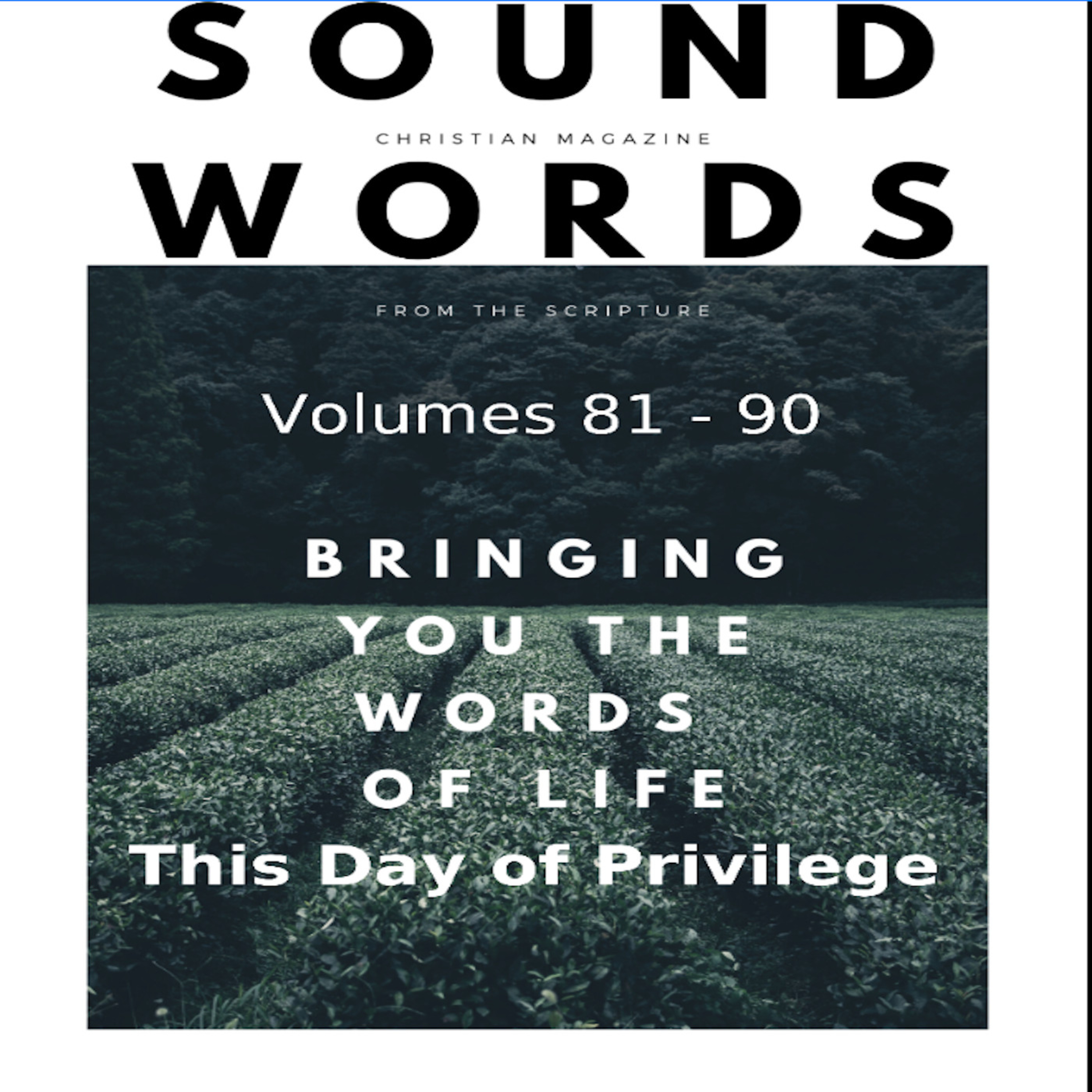 Sound Words, This Day of Privilege episode artwork
