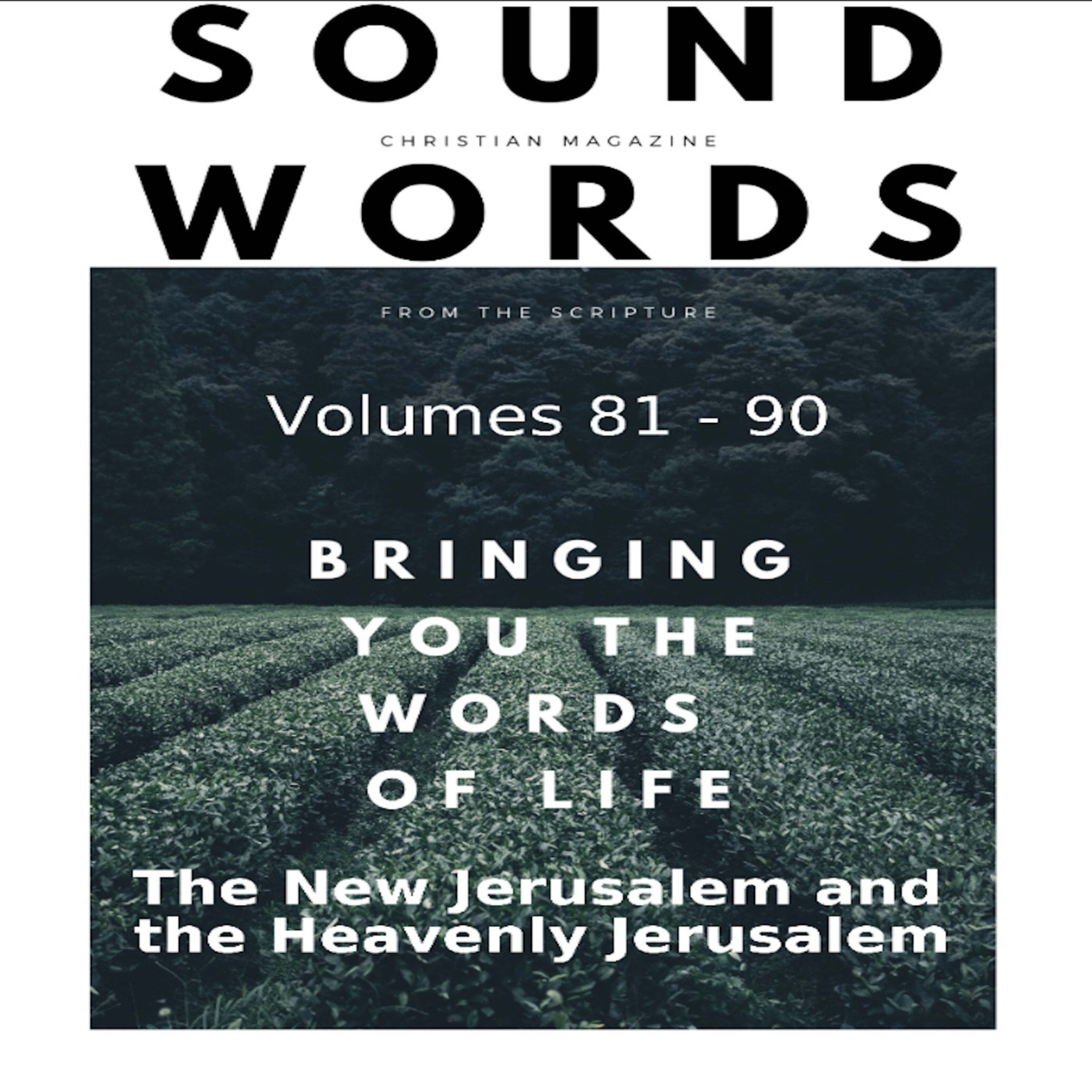 Sound Words, The New Jerusalem and the Heavenly Jerusalem