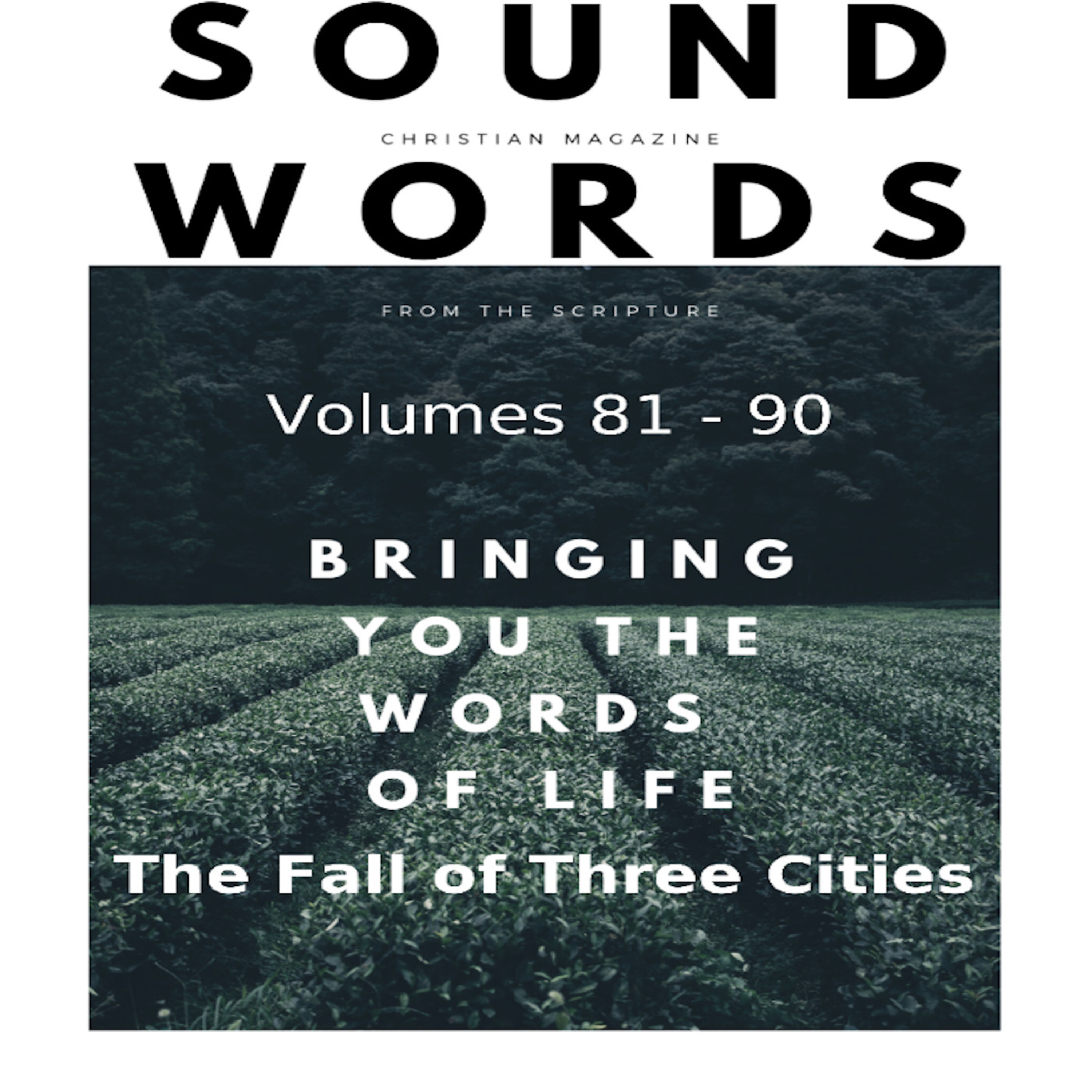 Sound Words, The Fall of Three Cities episode artwork