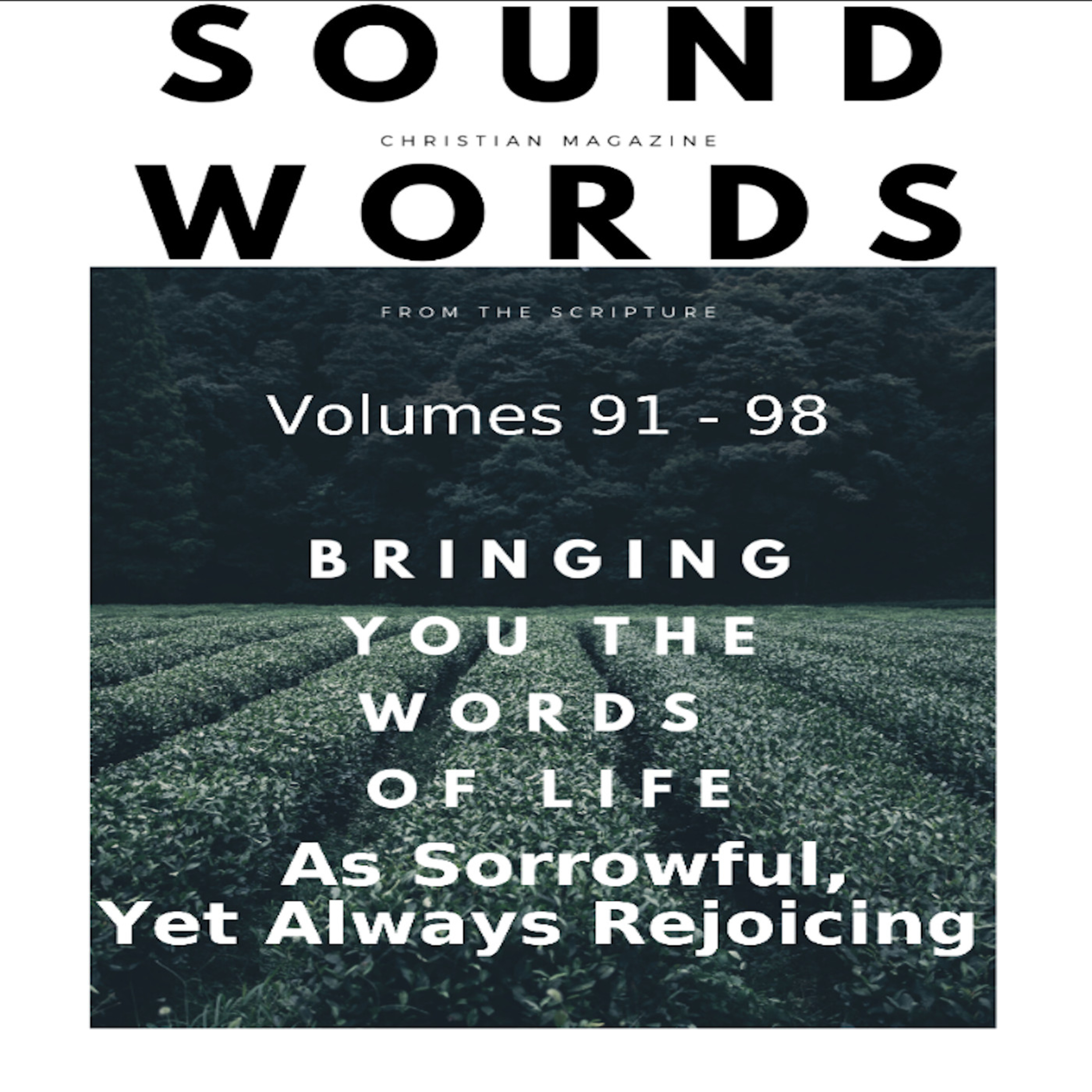 Sound Words, As Sorrowful, Yet Always Rejoicing episode artwork