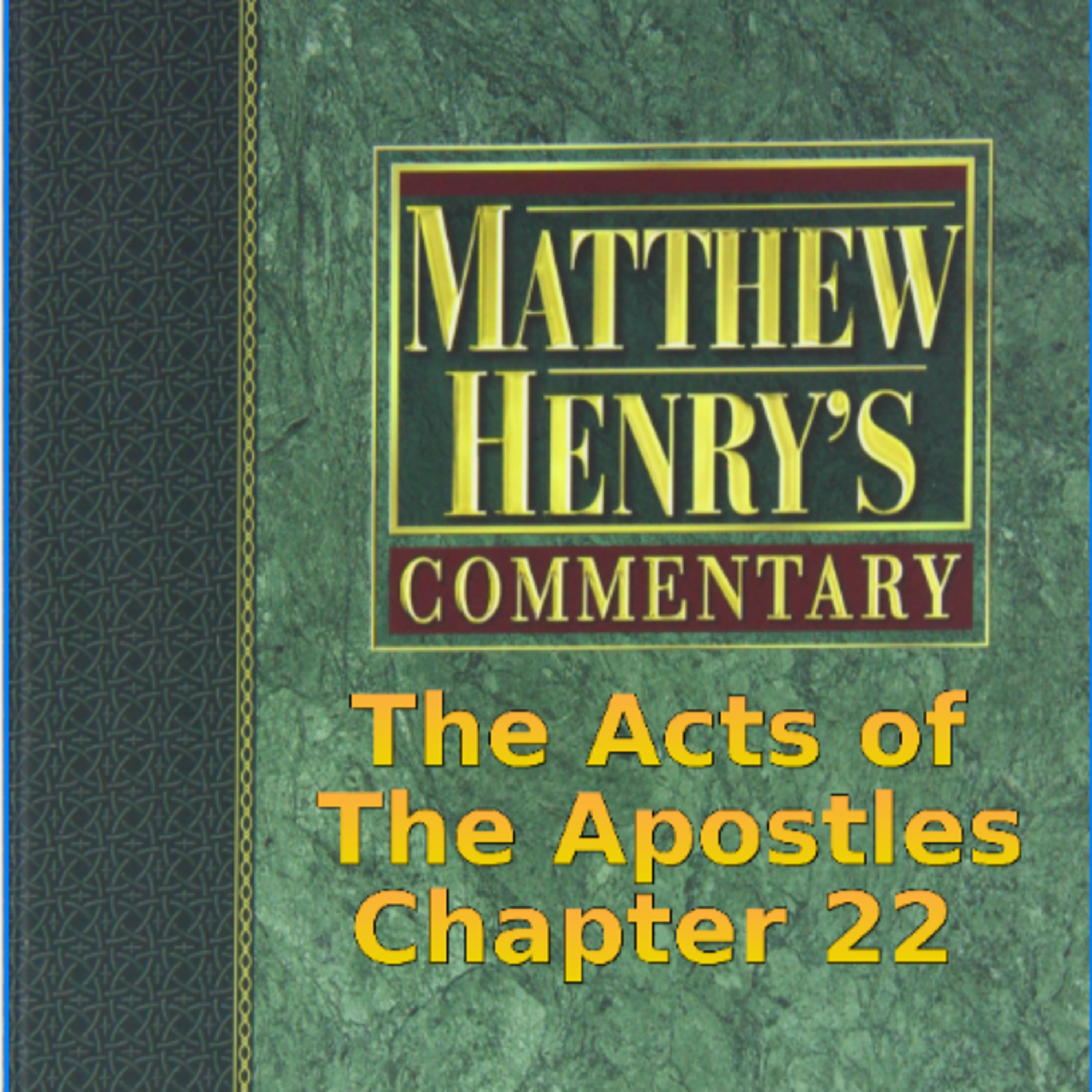 Matthew Henry's Commentary on the Whole Bible. Audio produced by Irv Risch. Acts, Chapter 22 episode artwork