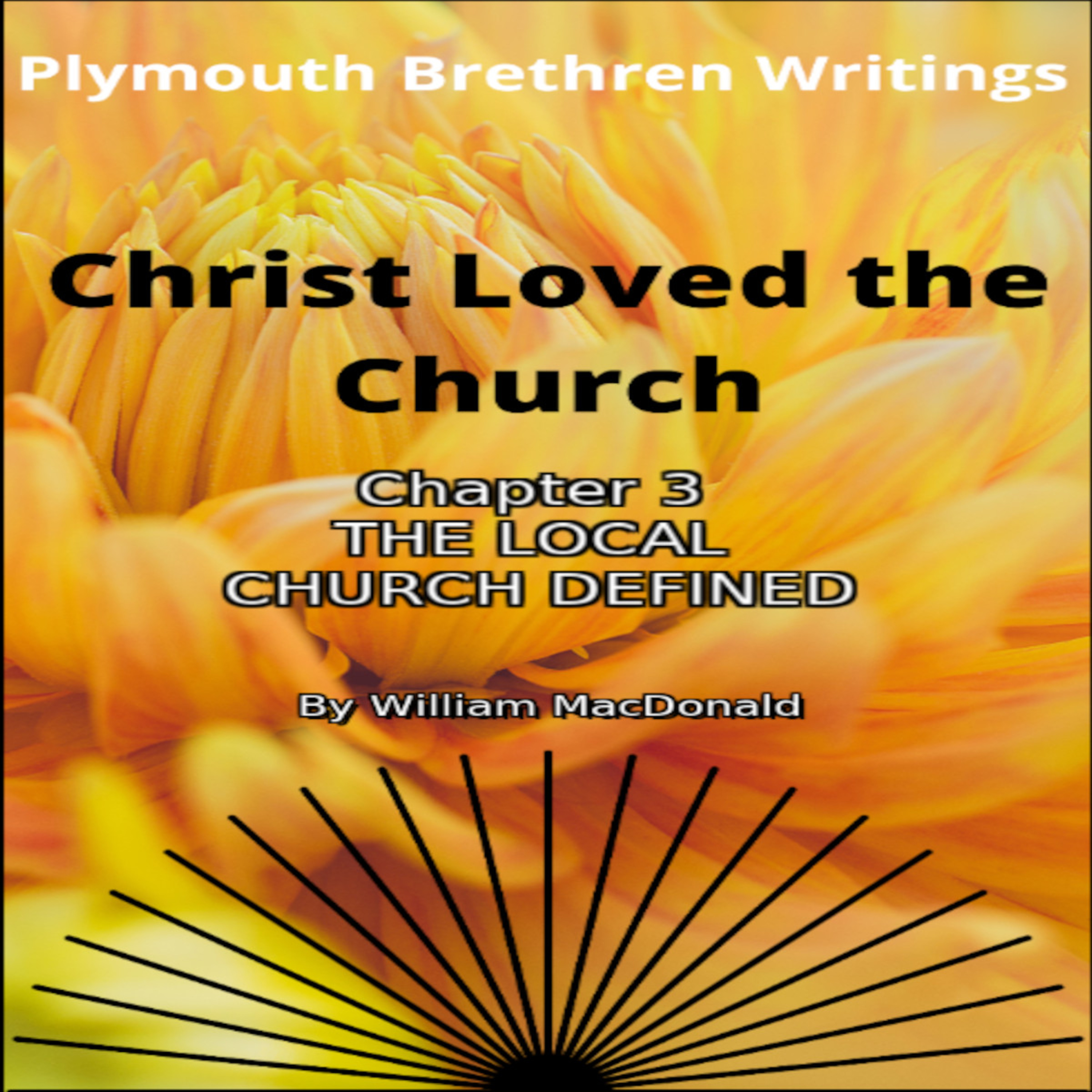 Christ Loved The Church by William MacDonald Chapter 3 episode artwork
