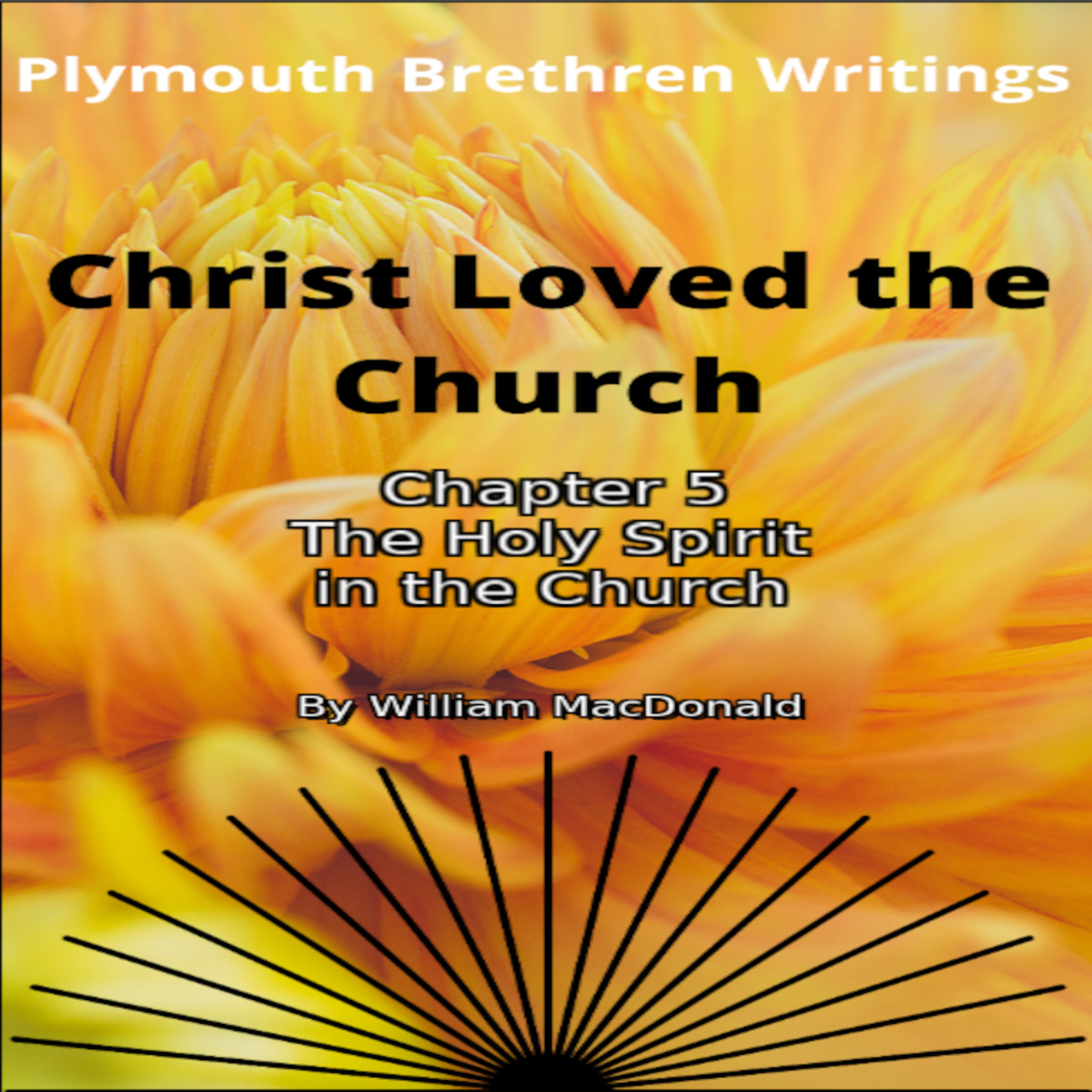 Christ Loved The Church by William MacDonald Chapter 5 episode artwork