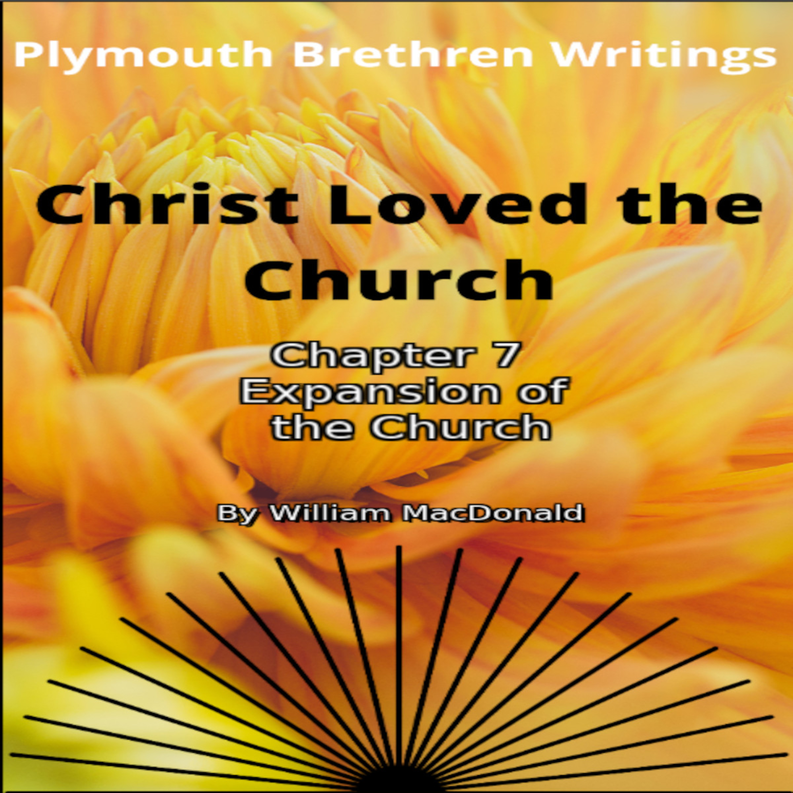 Christ Loved The Church by William MacDonald Chapter 7