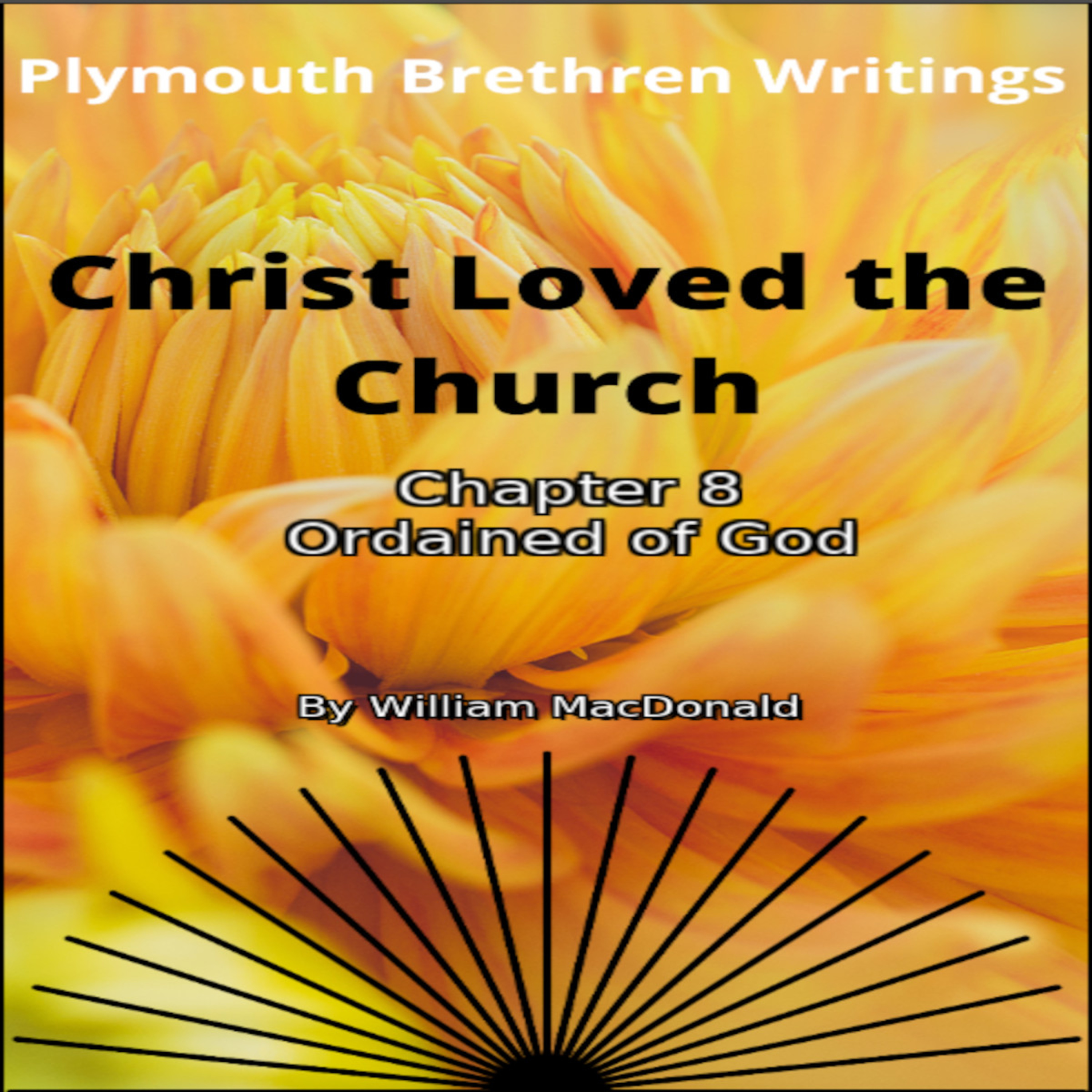 Christ Loved The Church by William MacDonald Chapter 8 episode artwork