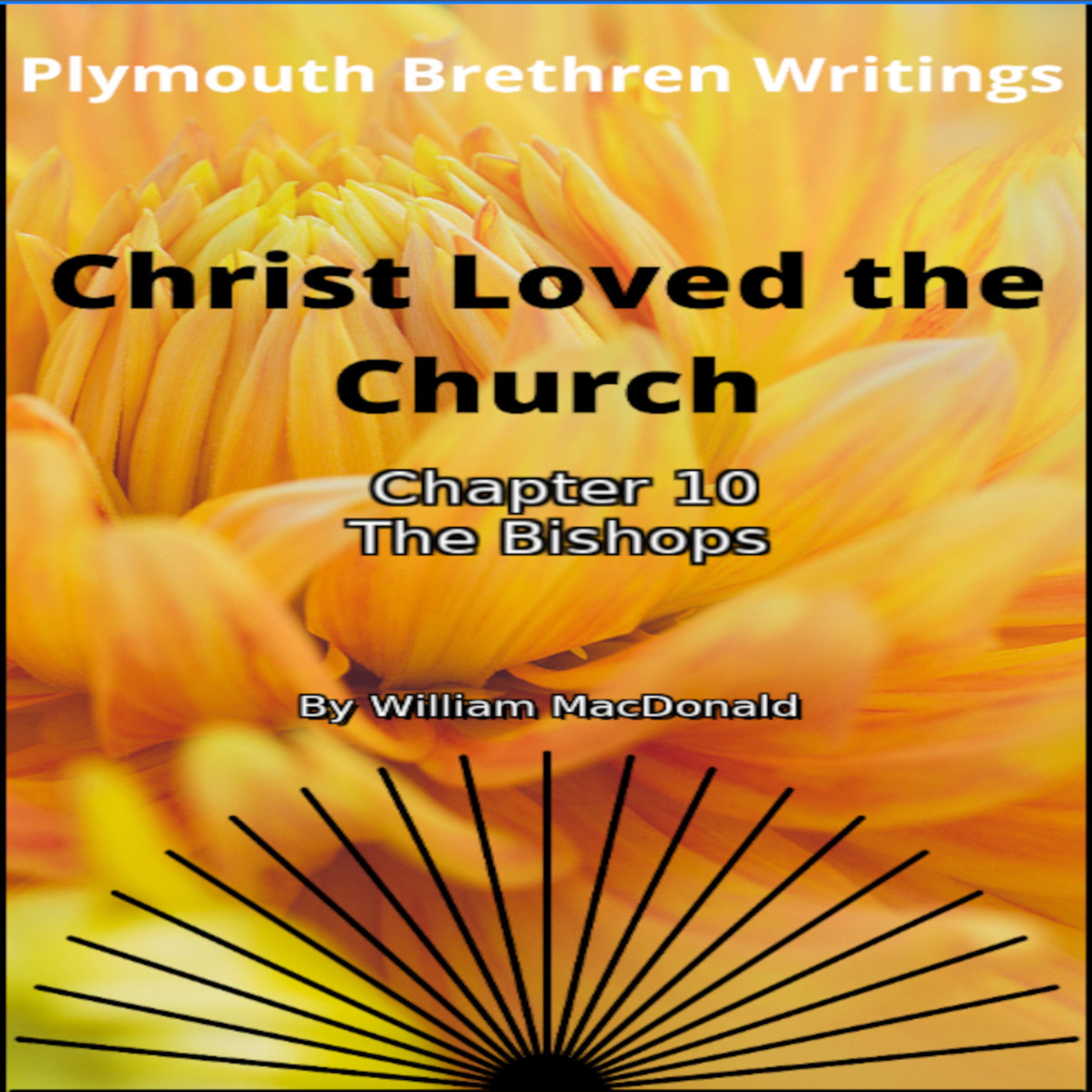 Christ Loved The Church by William MacDonald Chapter 10 episode artwork