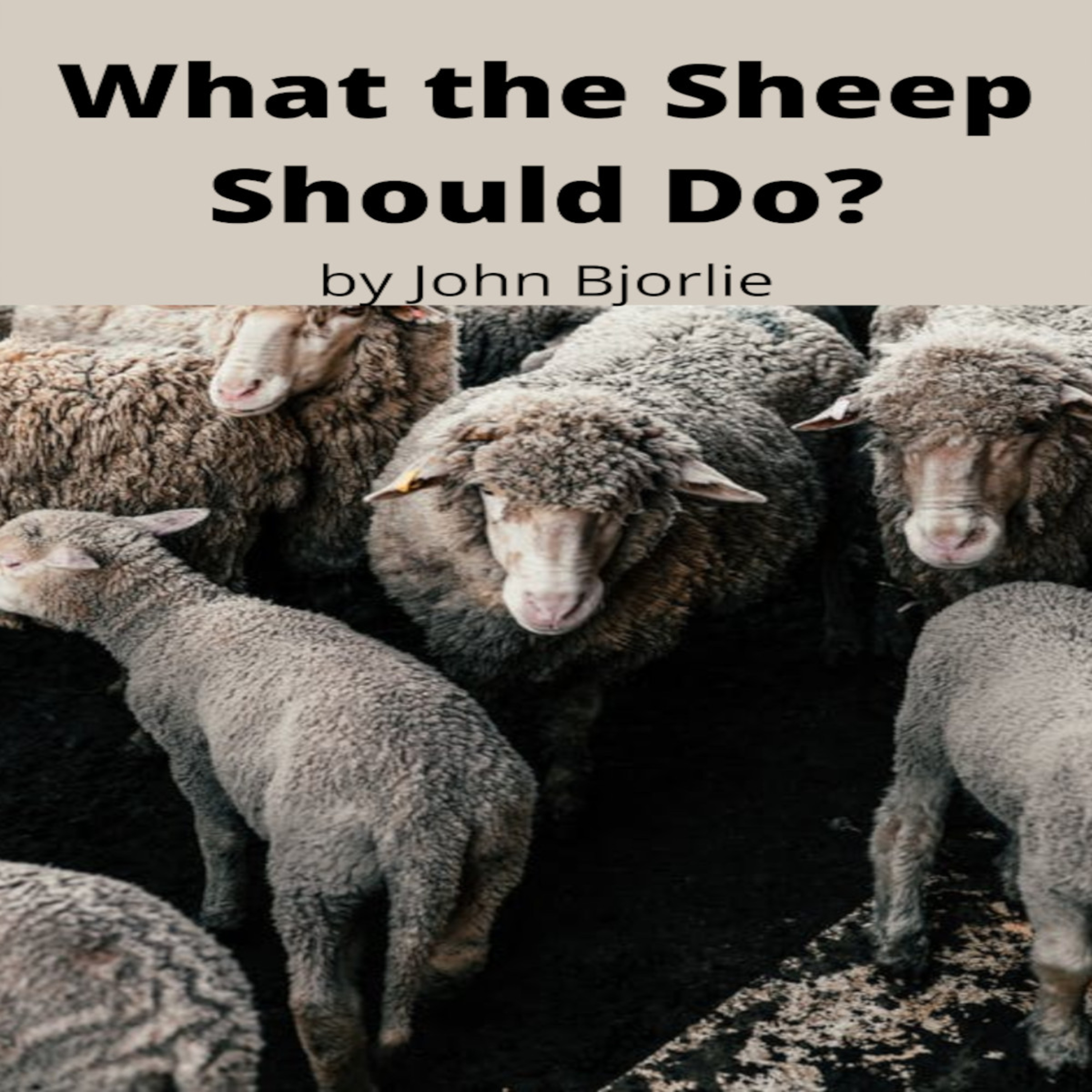 What the Sheep Should Do? by John Bjorlie