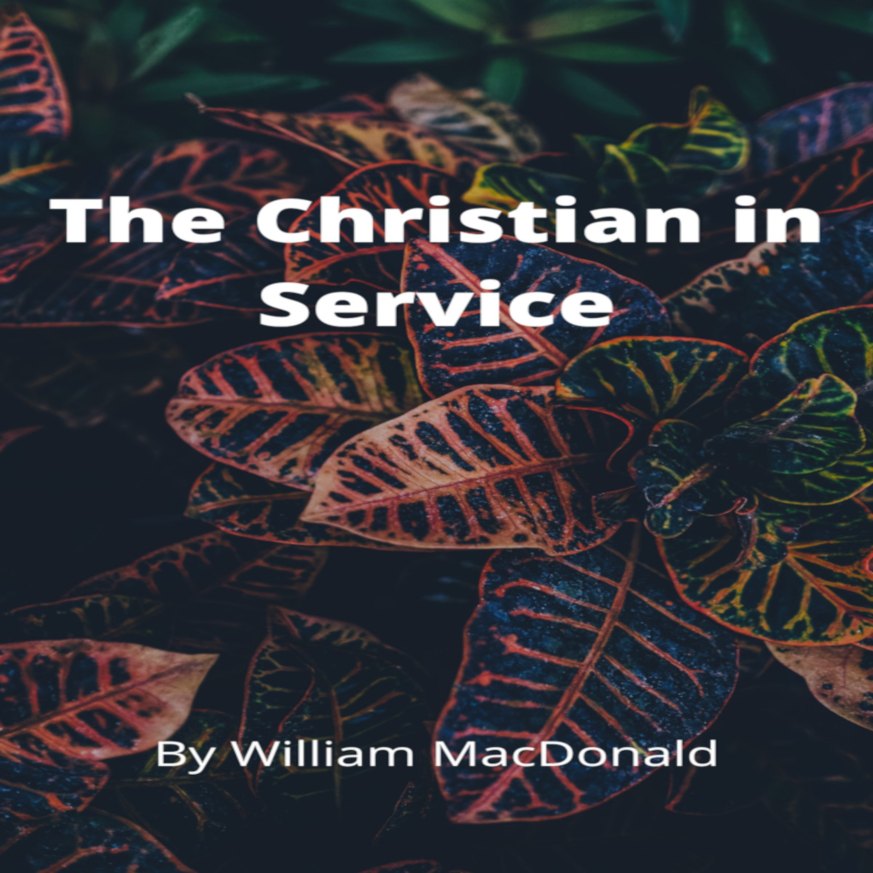 Articles and Writings by William MacDonald. The Christian in Service episode artwork