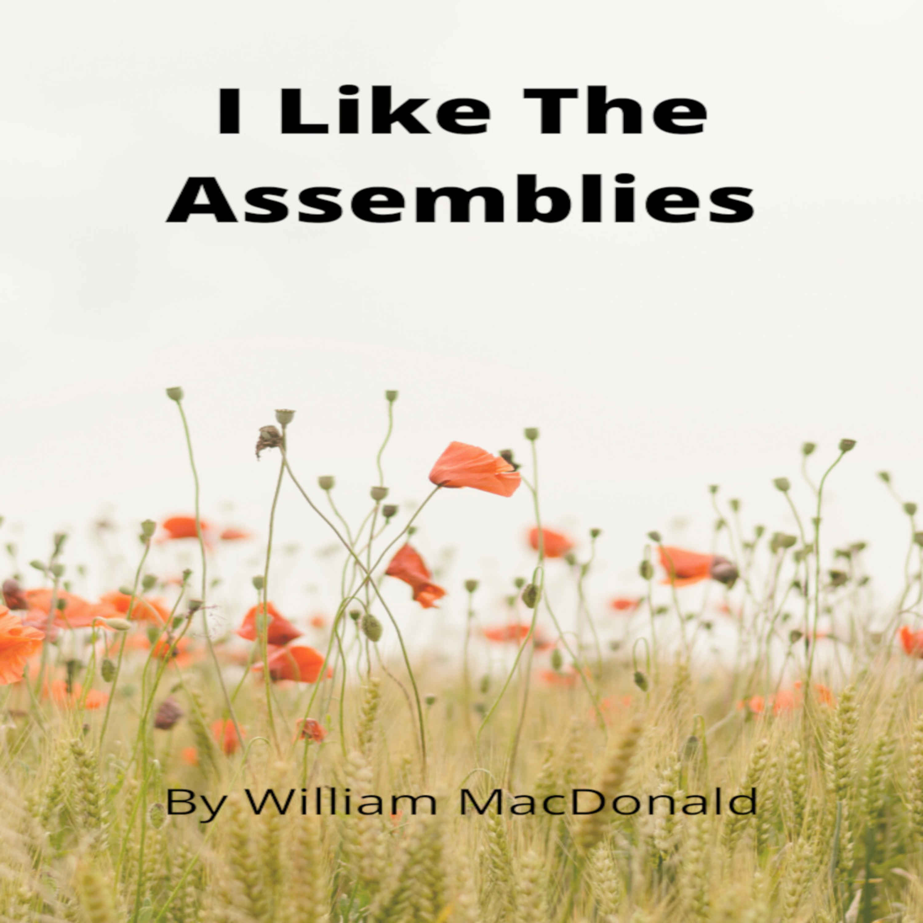 Articles and Writings by William MacDonald. I Like The Assemblies