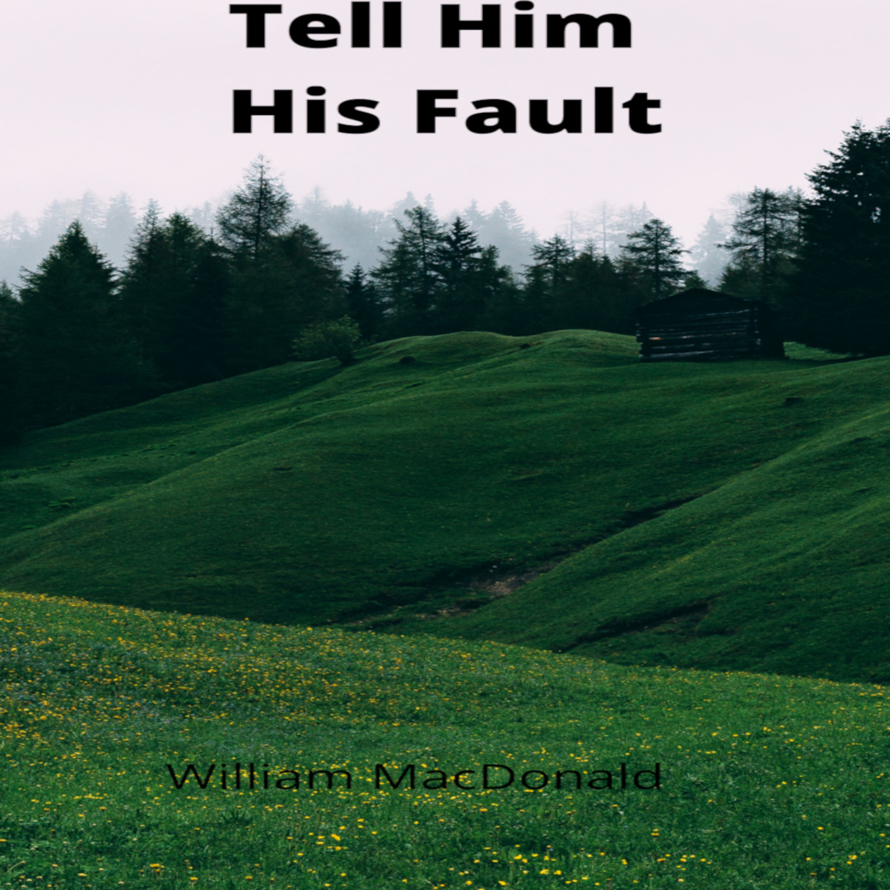 Articles and Writings by William MacDonald. Tell Him His Fault episode artwork