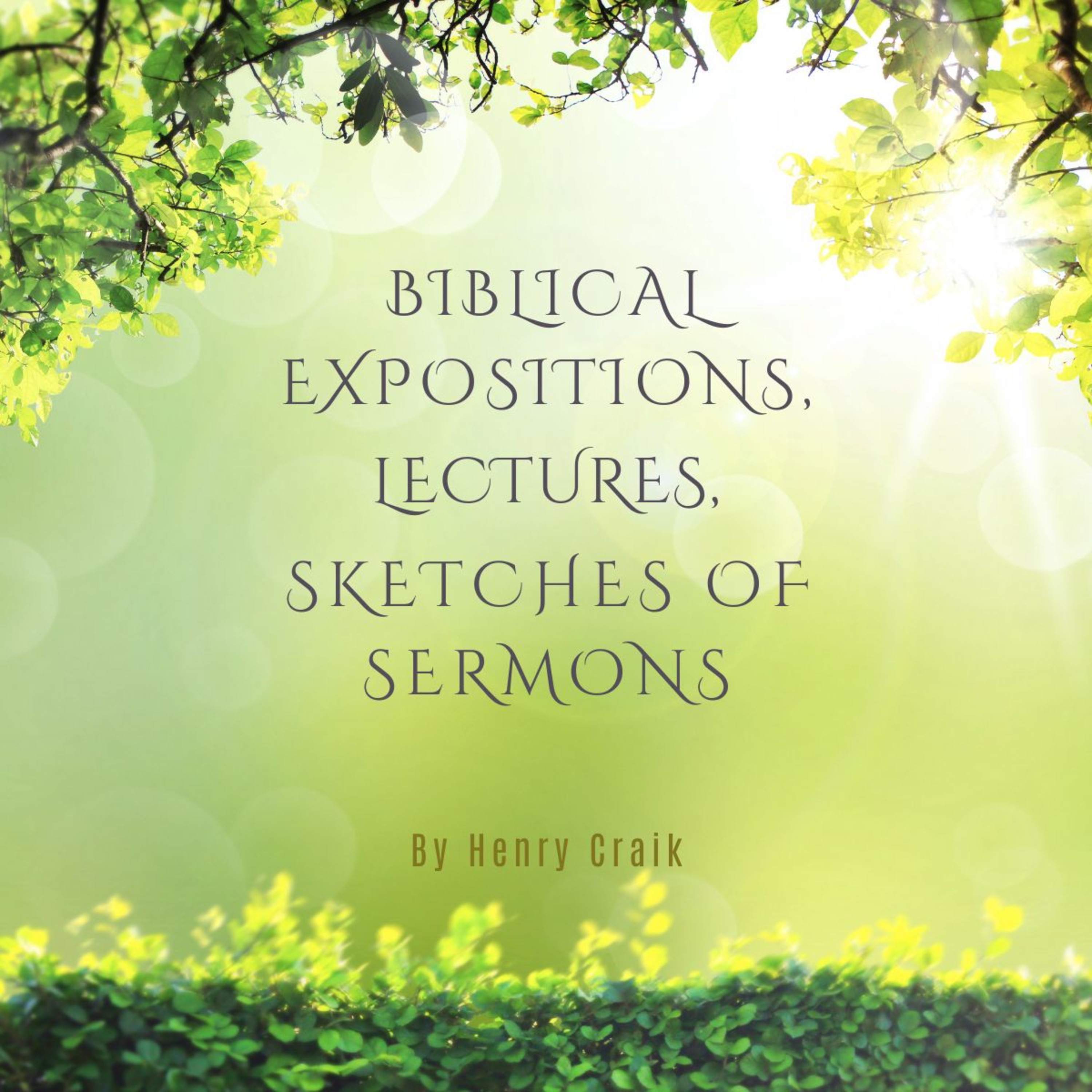 Biblical Expositions, Lectures, Sketches Of Sermons, Sketches Of Sermons.
