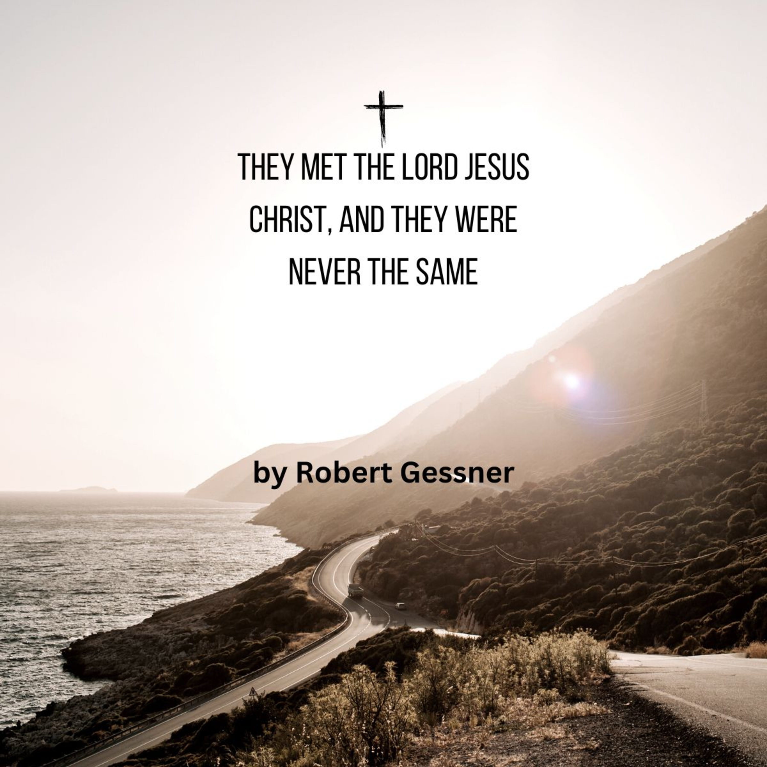 They Met the Lord Jesus Christ, And They Were Never the Same, by Robert Gessner.