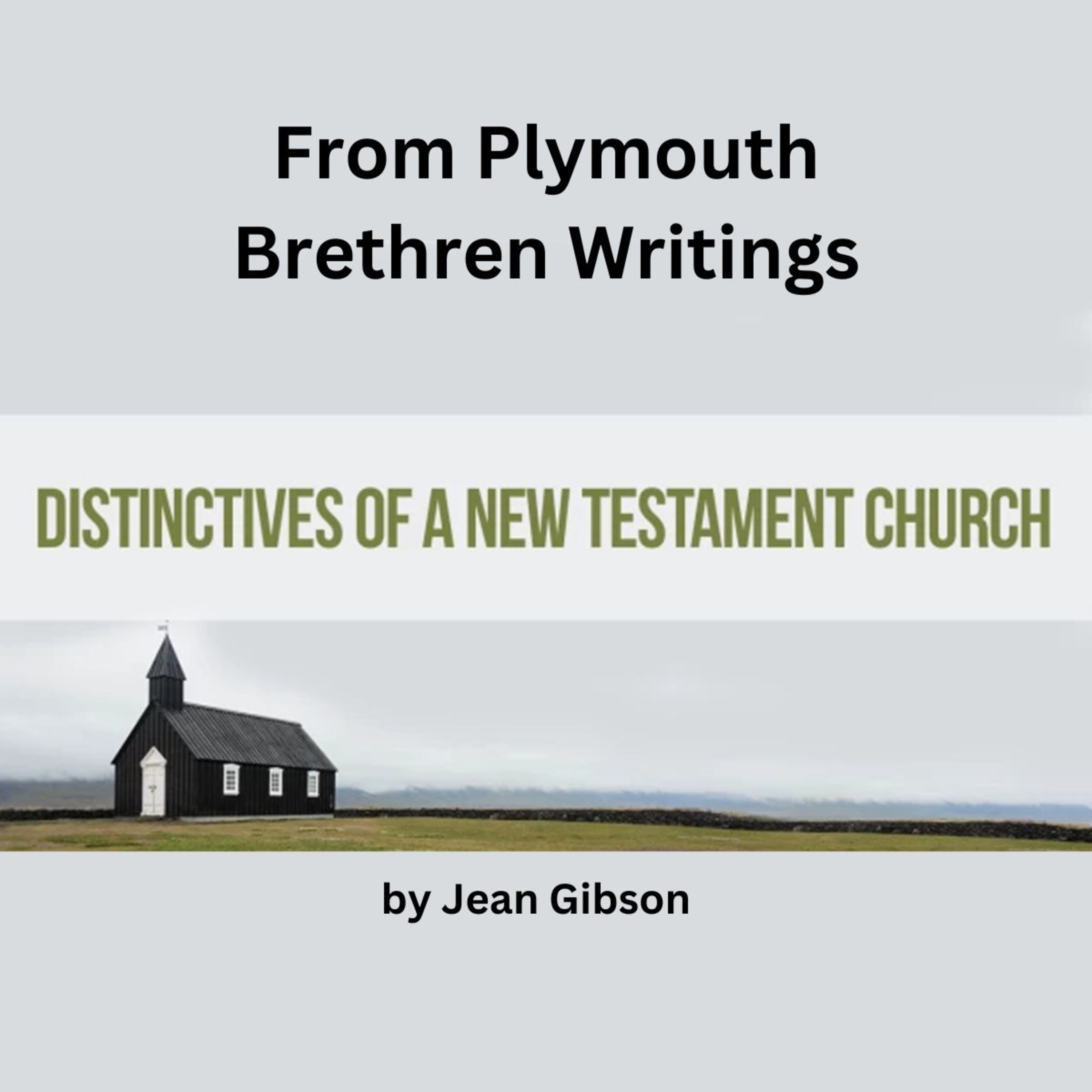 In depth review by Irv Risch on Distinctives of the NT Church, By Jean Gibson episode artwork