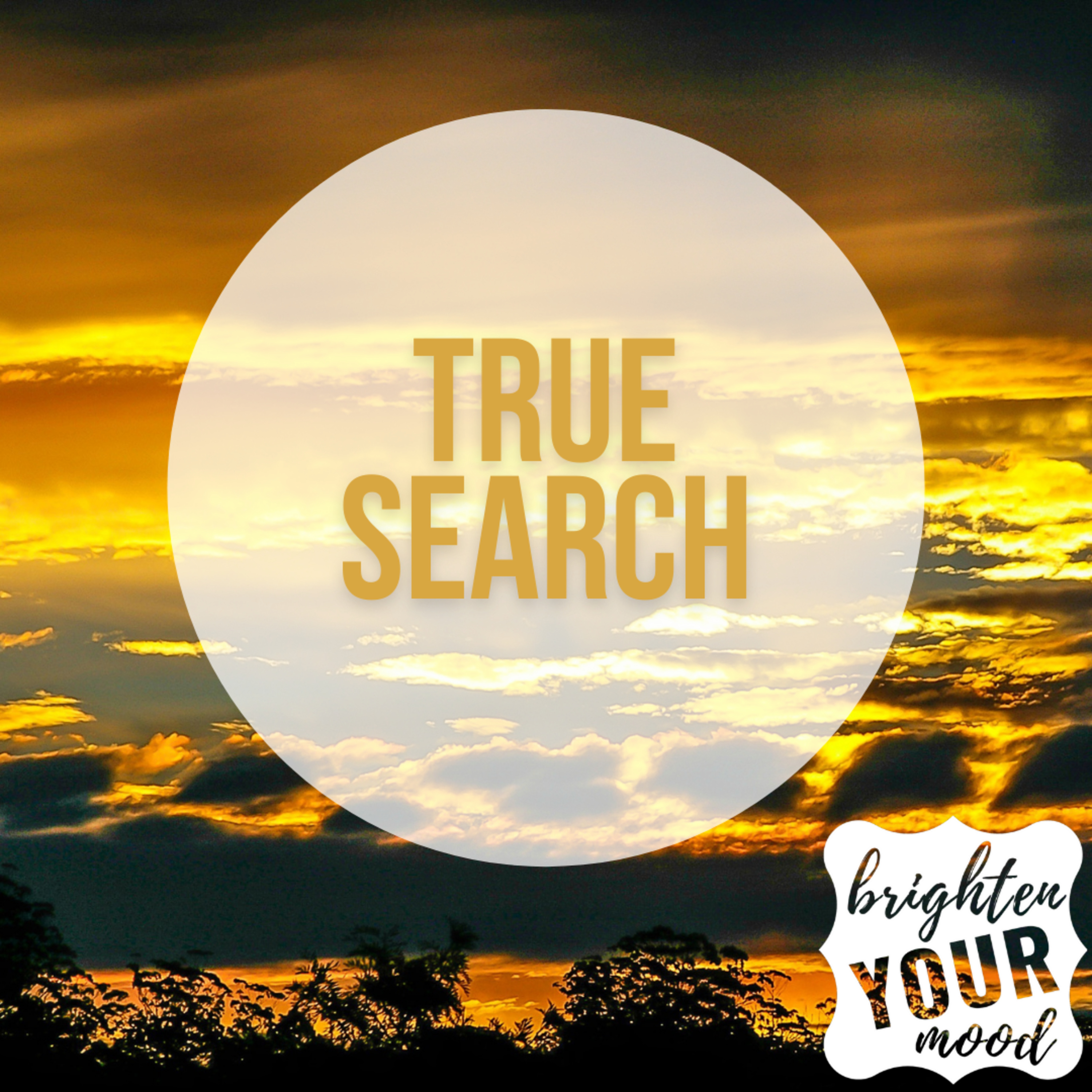 True Search episode artwork